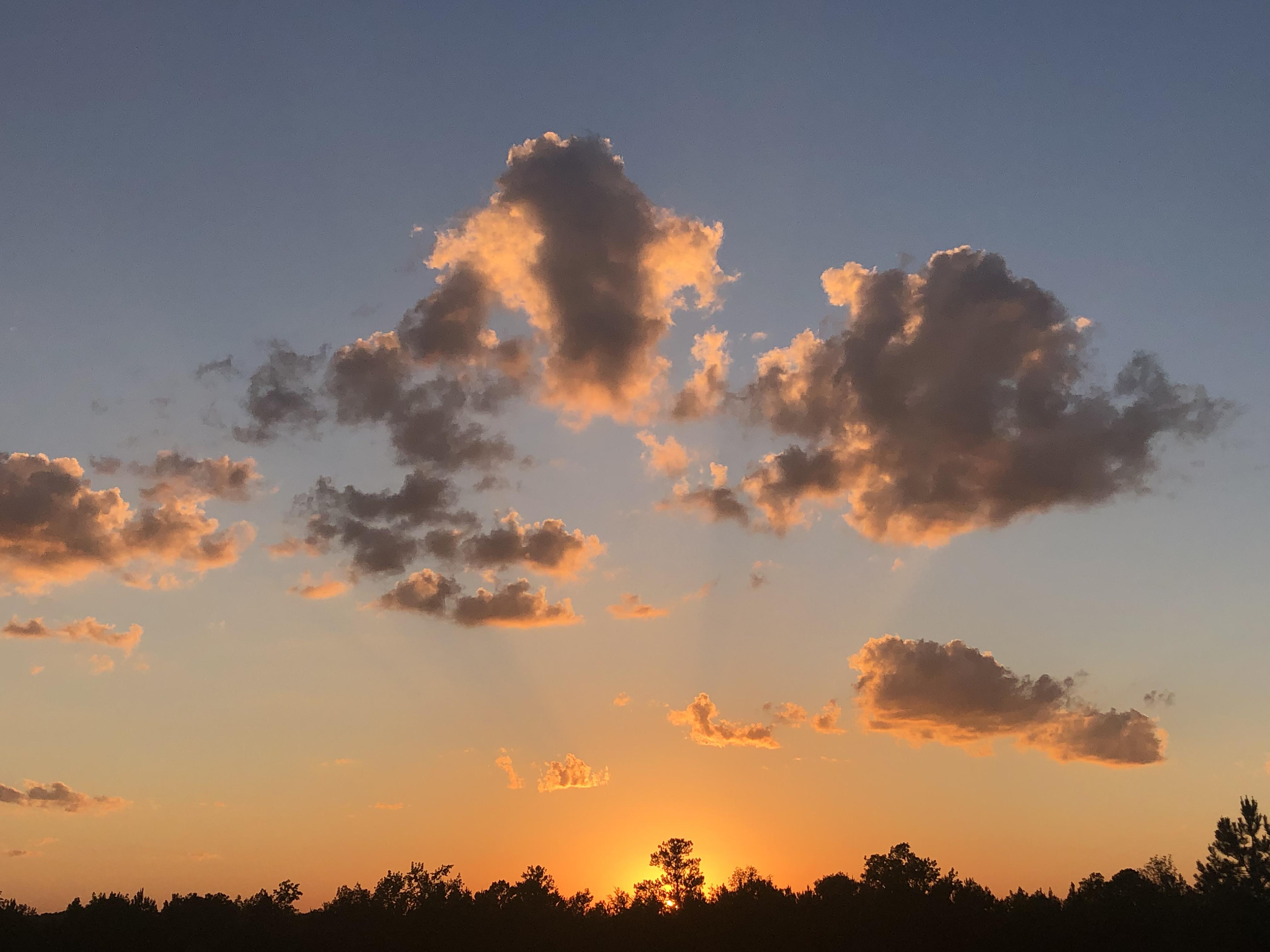 Beautiful sunset in with crepuscular rays! r/atoptics