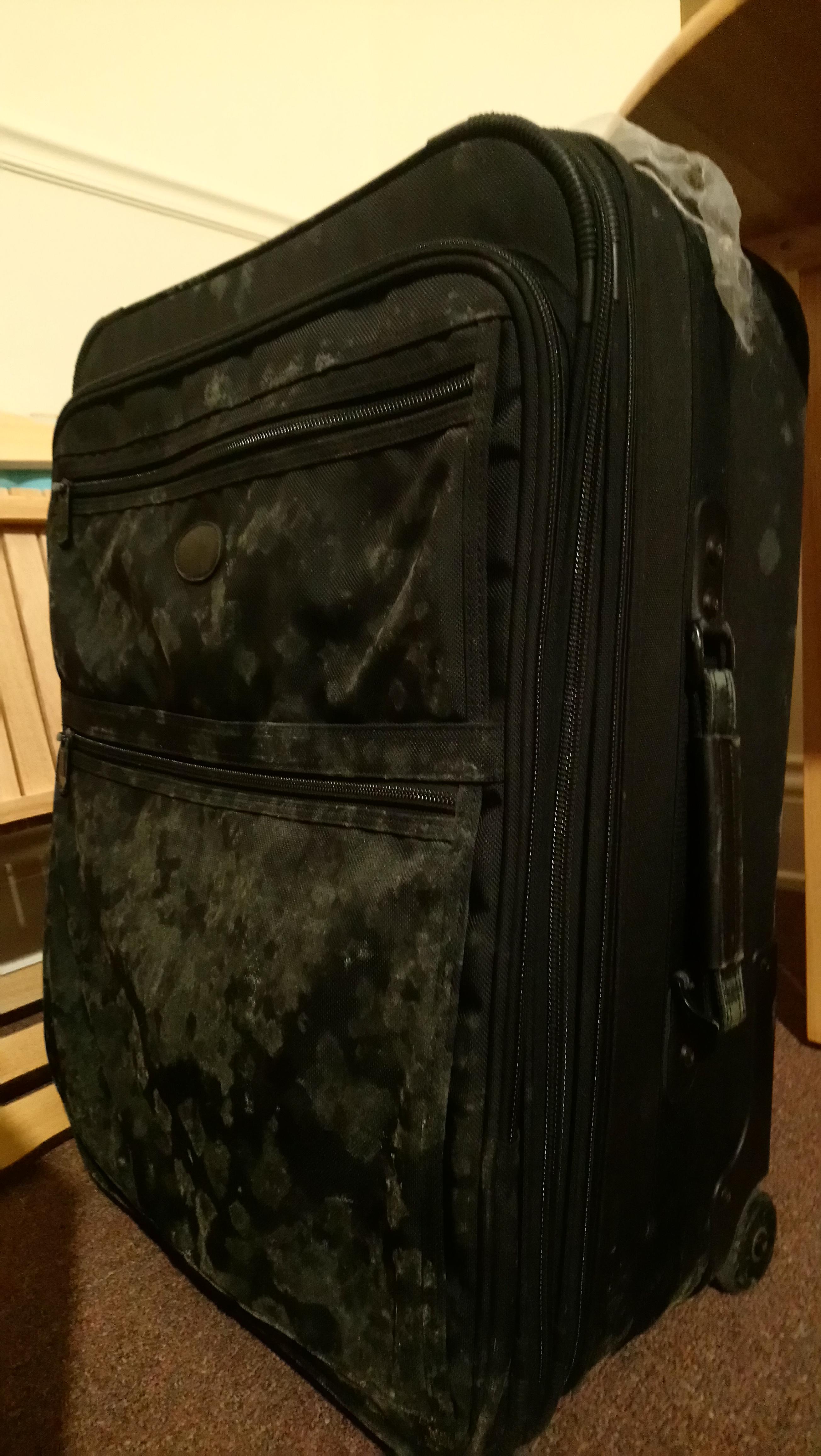 How To Clean A Moldy Suitcase at Annis Herring blog