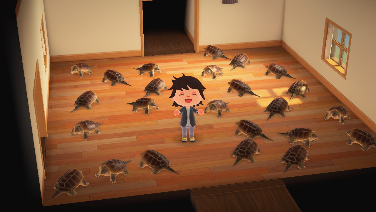 My house is full of snapping turtles, and if that ends up