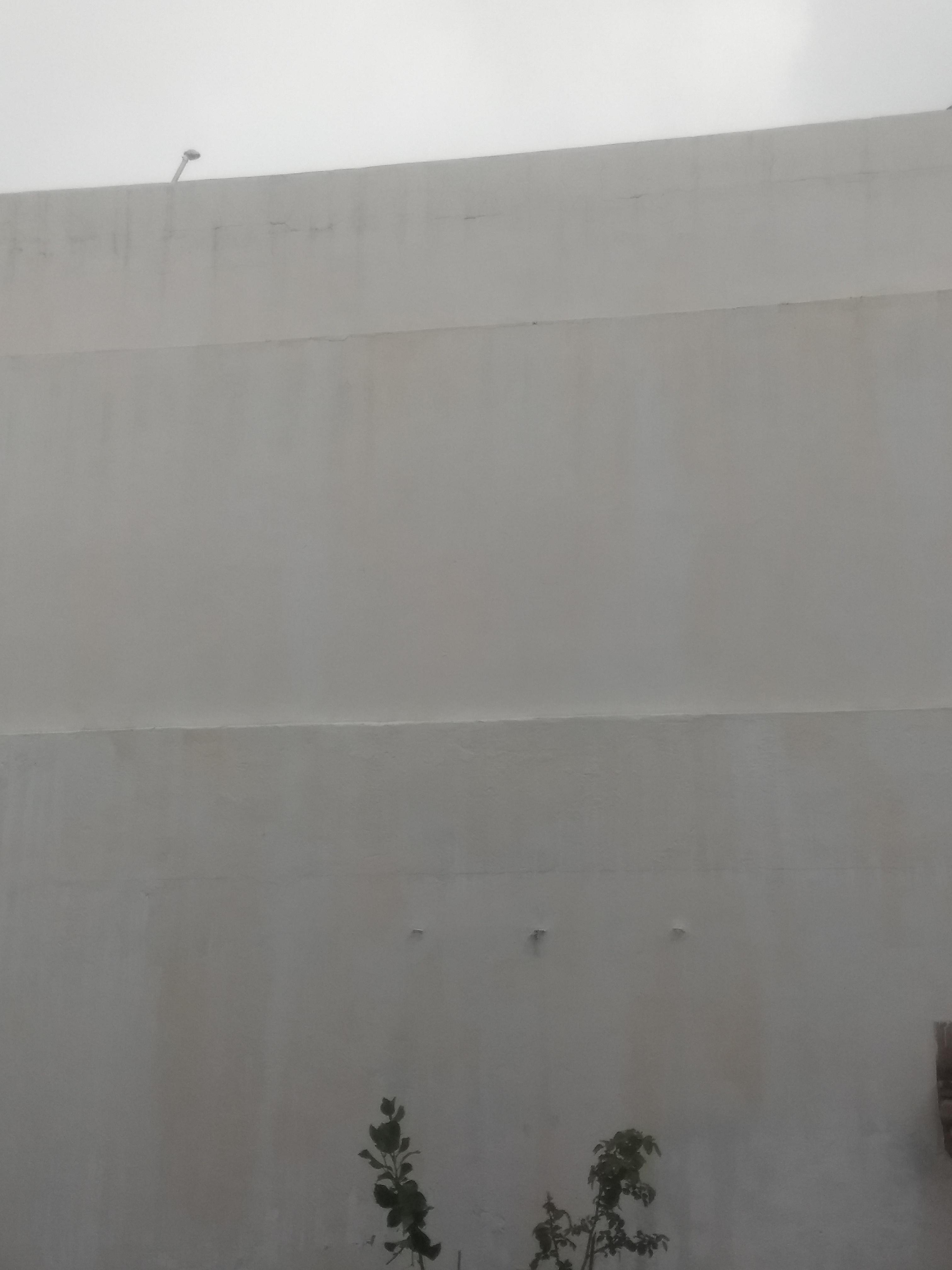 so i got my house painted yesterday, it rained and the paint is coming