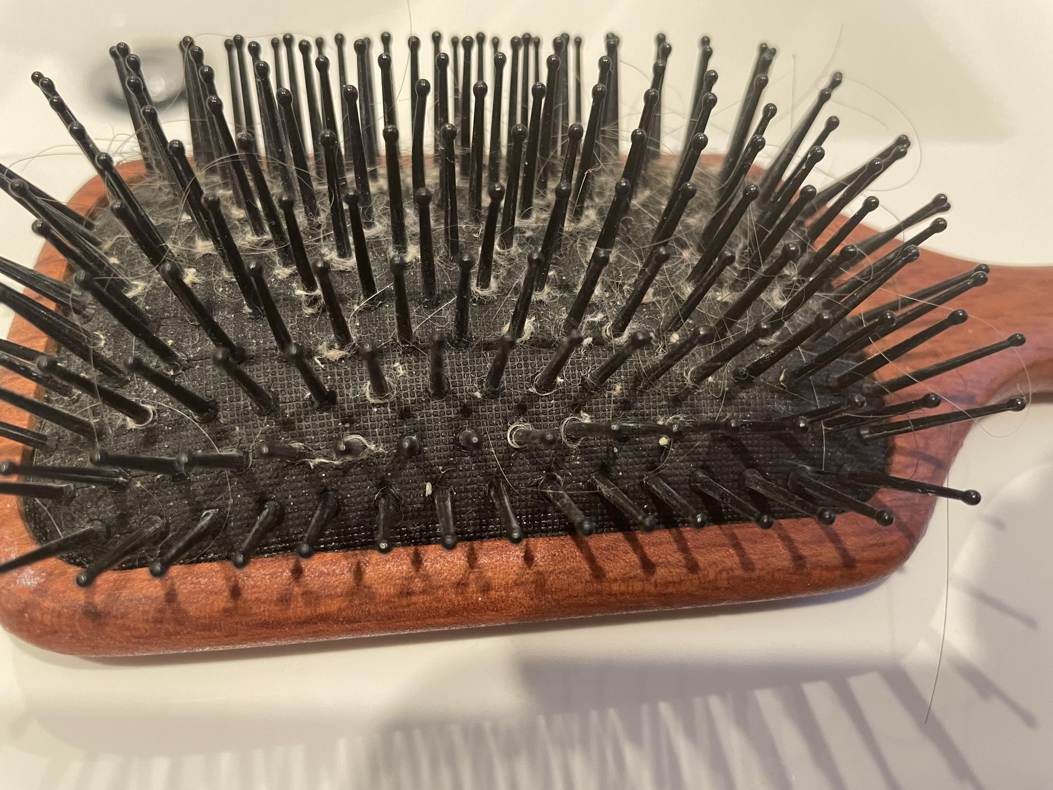 Cleaning dirty hairbrushes r/CleaningTips
