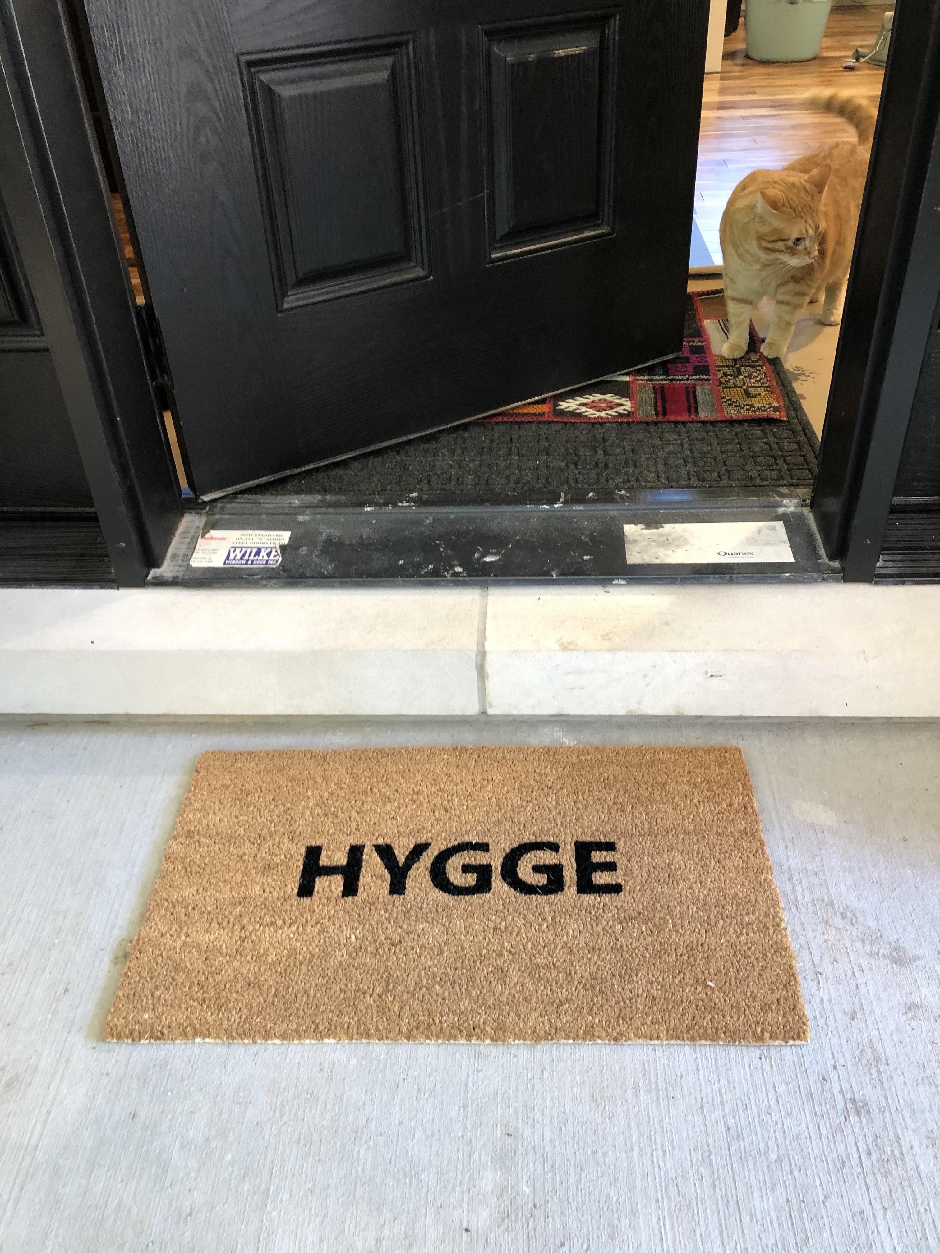 Went to IKEA to buy some accessories for our addition. Couldn’t resist