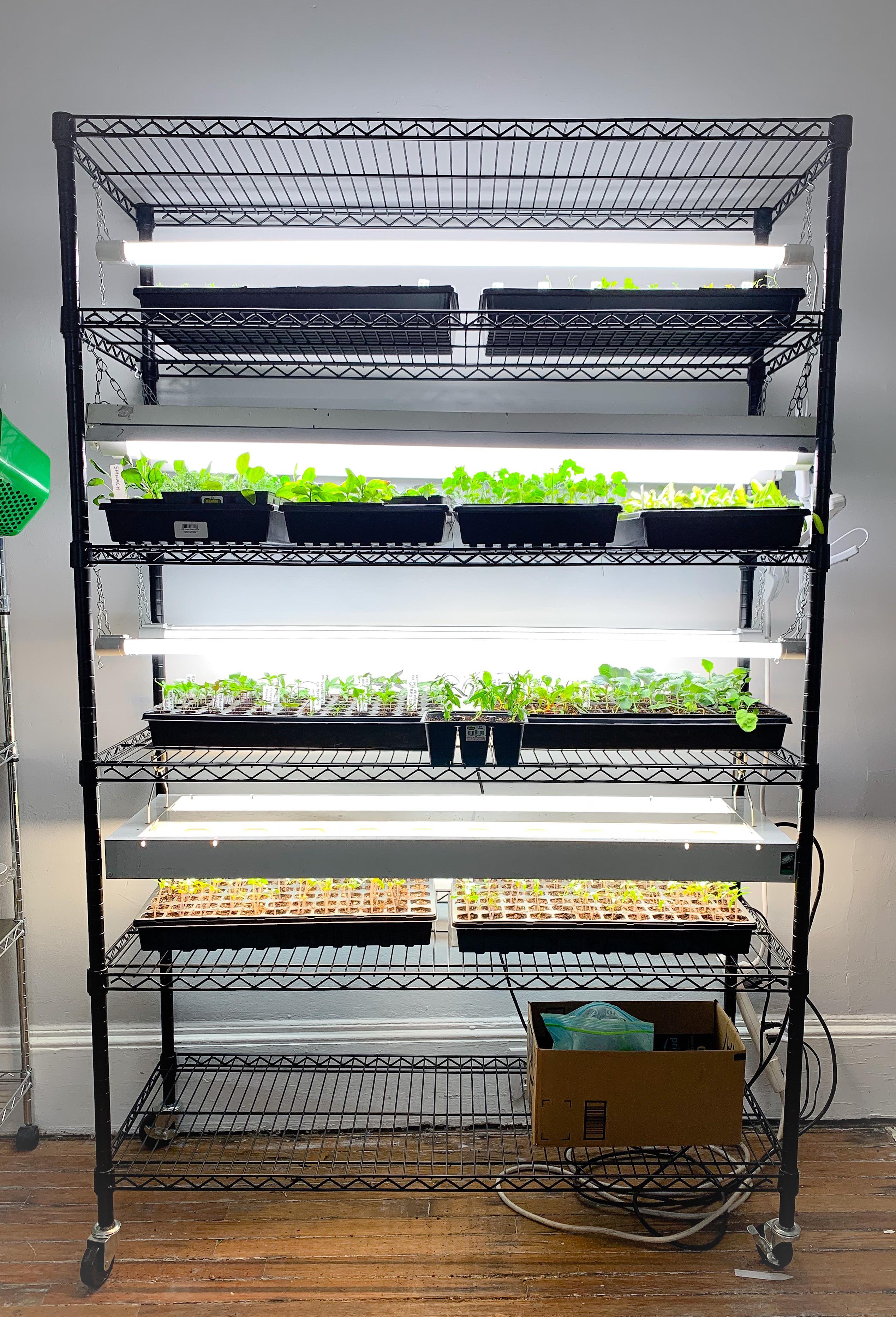 My seed starting setup got a big upgrade this year. r/vegetablegardening