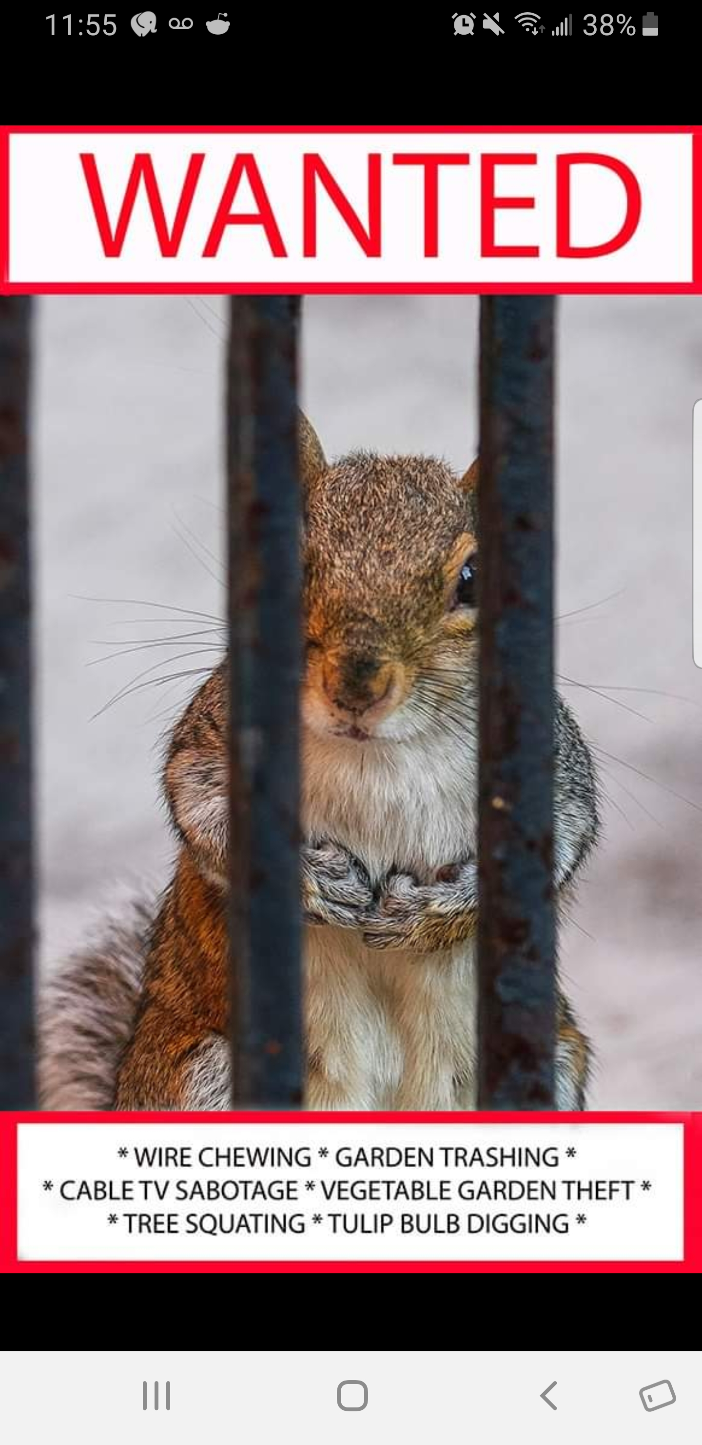 Not mine but hilarious. r/squirrels