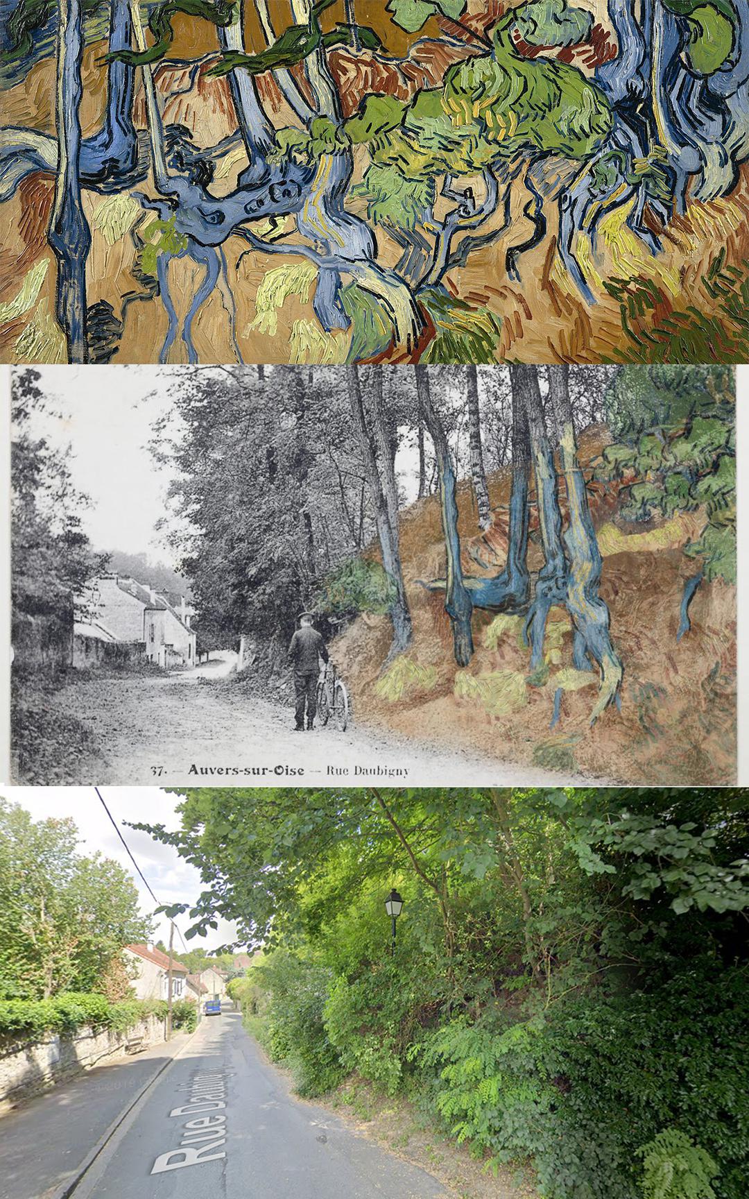 Location of Van Gogh's last painting, Tree Roots, identified from old