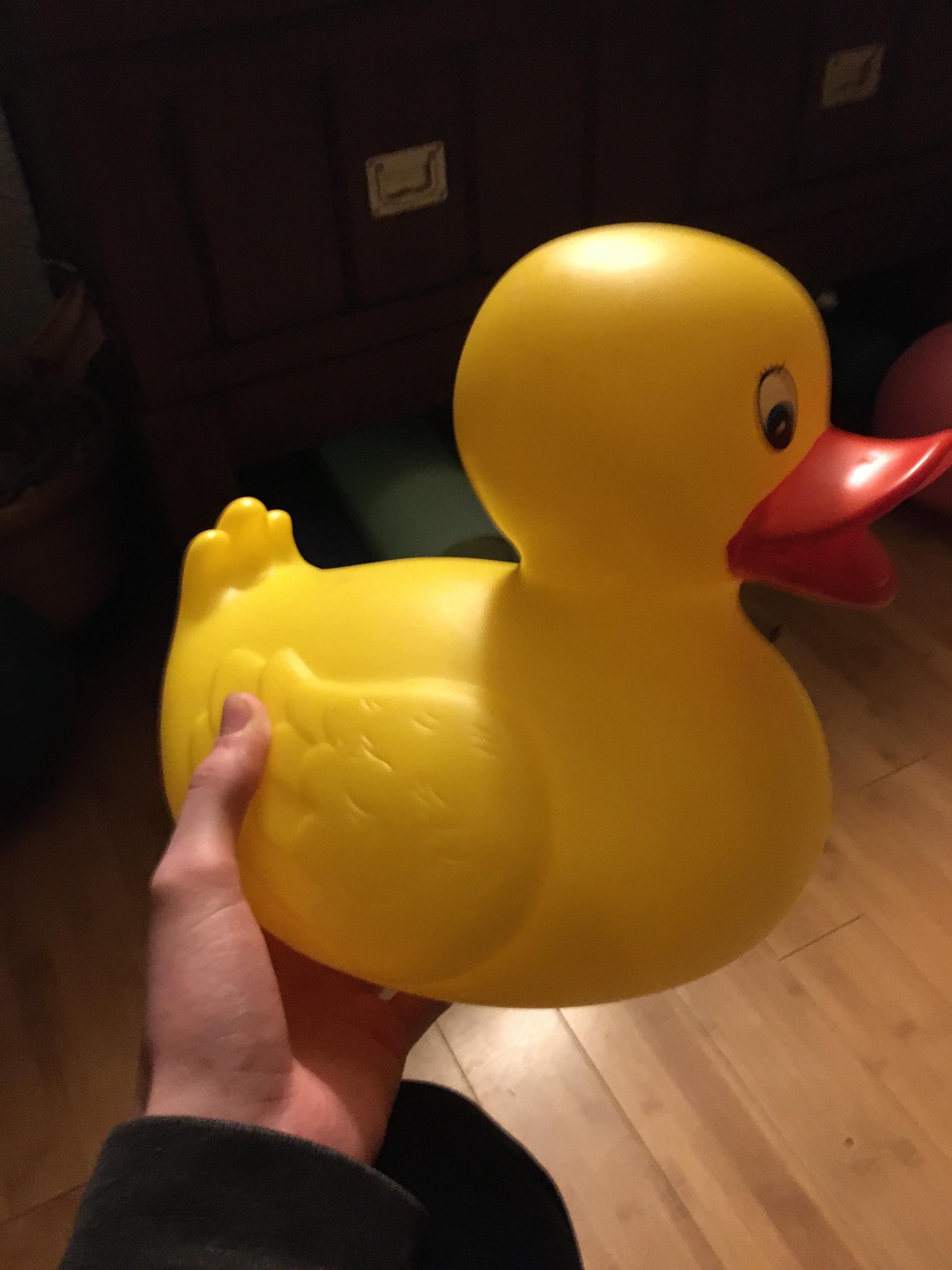 This large rubber duck r/mildlyinteresting