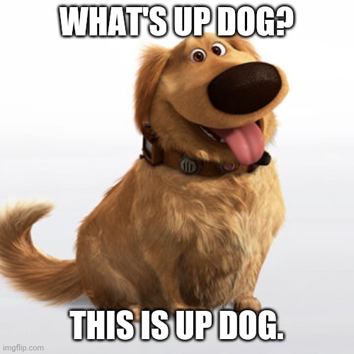 What's up dog? r/shitposting