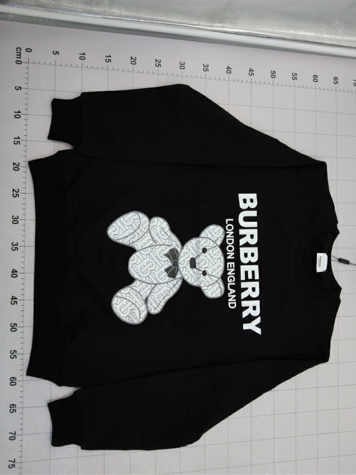 59¥ Burberry sweatshirt from 5M studio r/Repbudgetfashion