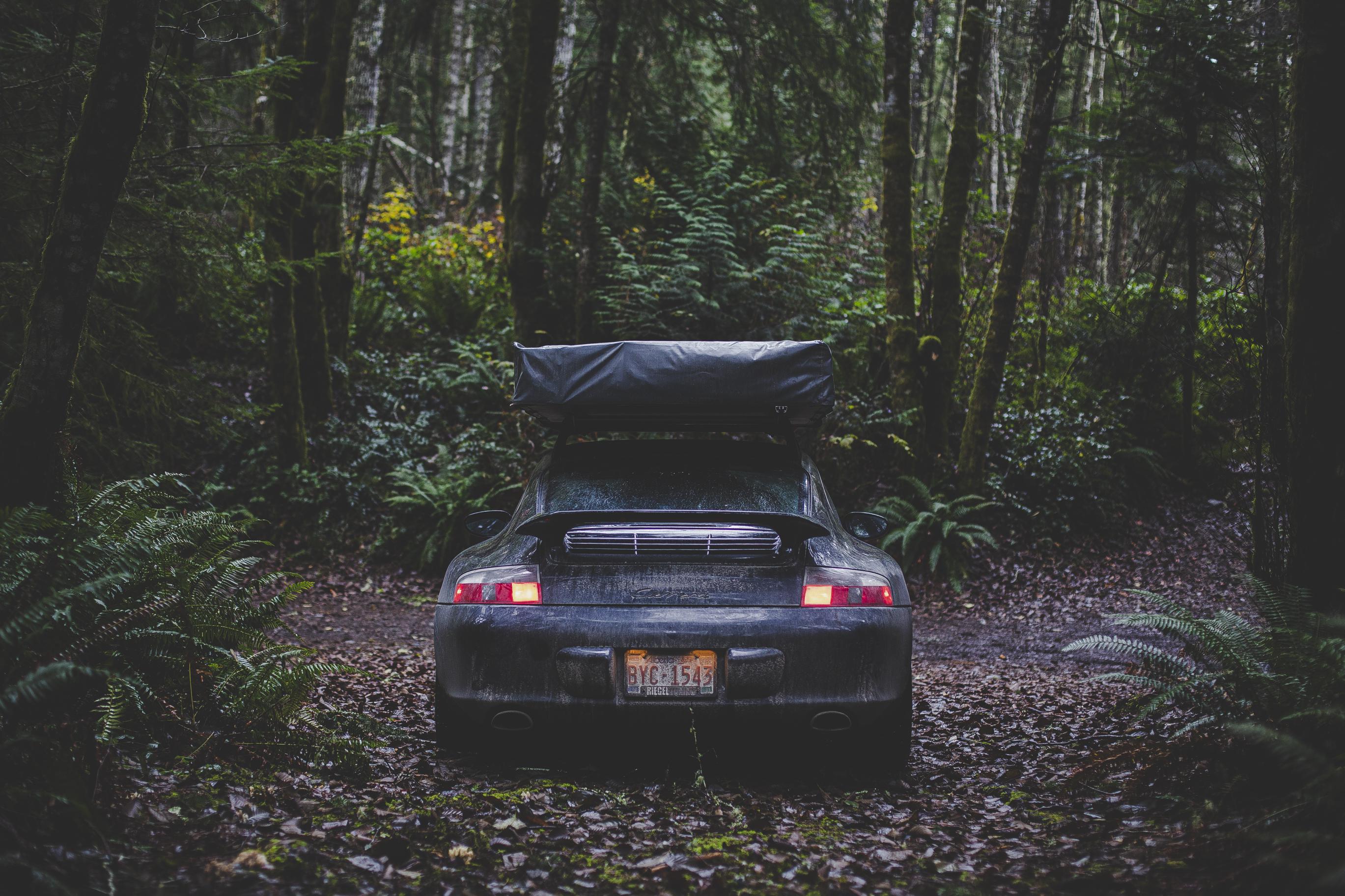 Logging roads on a rainy December Vancouver Island day r/overlanding