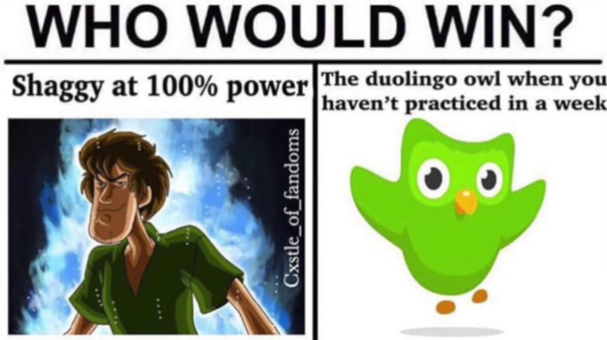 The one thing that can beat ultra instinct shaggy r/duolingomemes