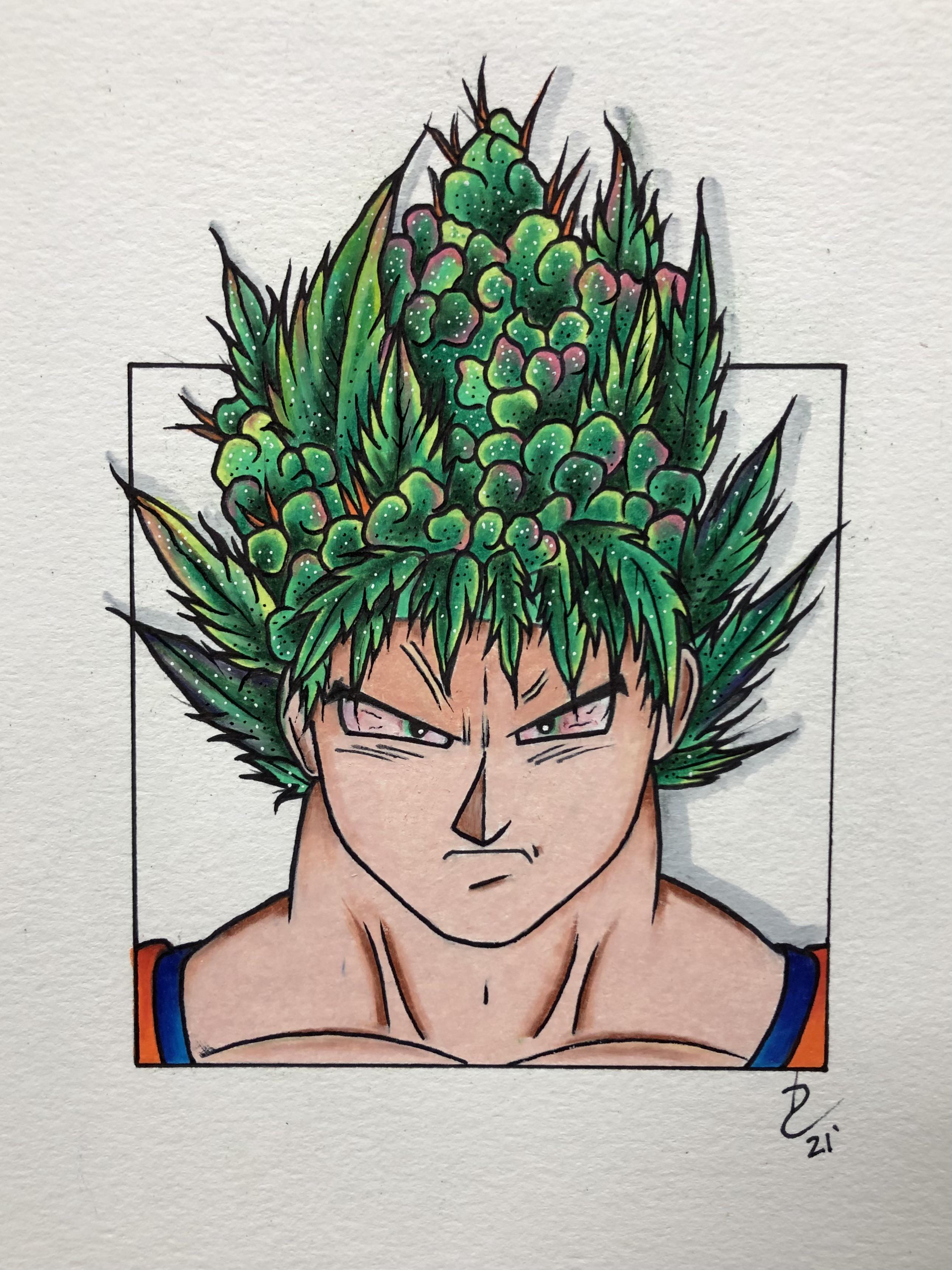 [OC] I drew Goku with weed for hair. Hope some of you appreciate it
