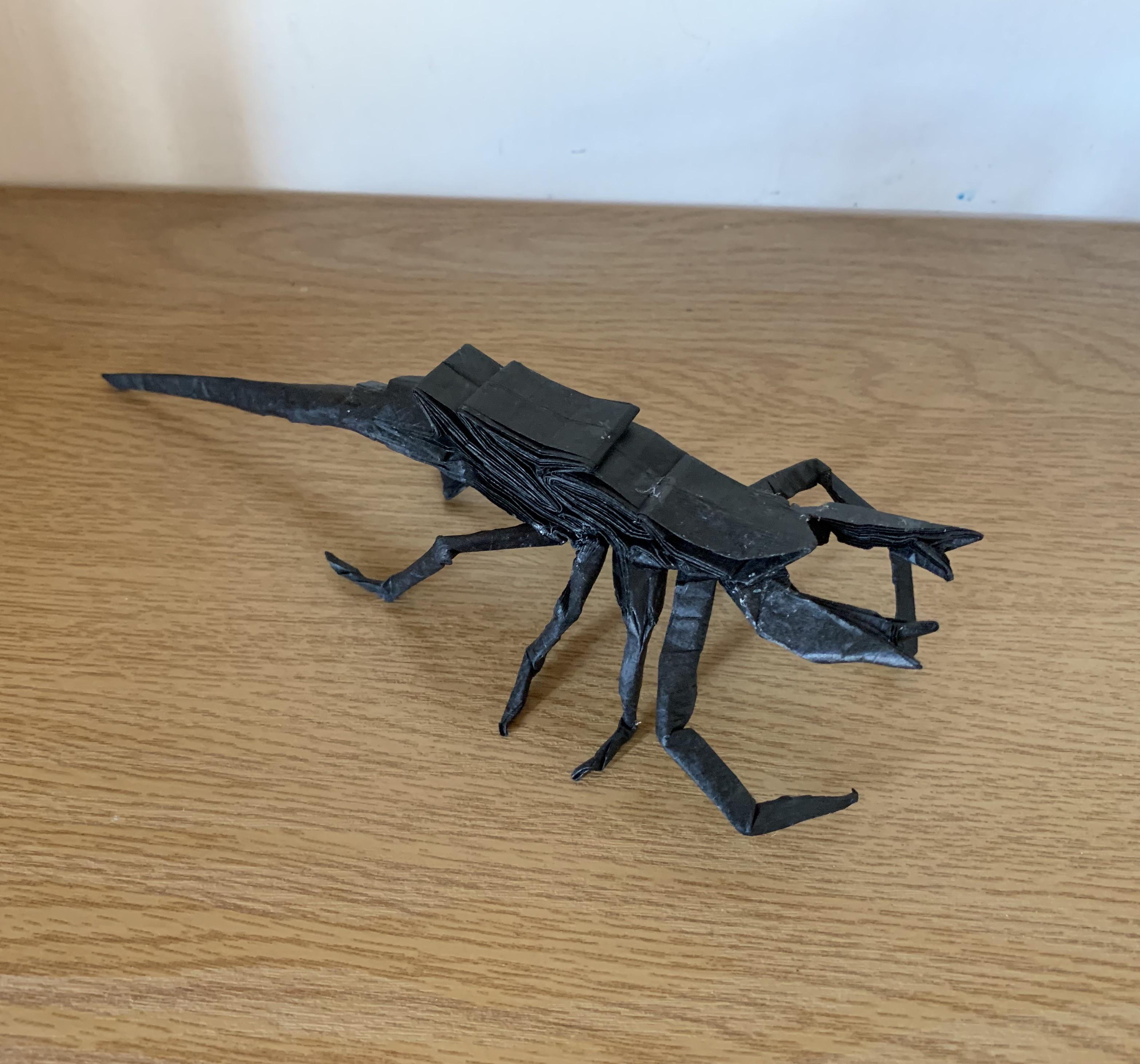 Vinegaroon designed by Maeng Hyeon Gyu and folded by me. r/origami