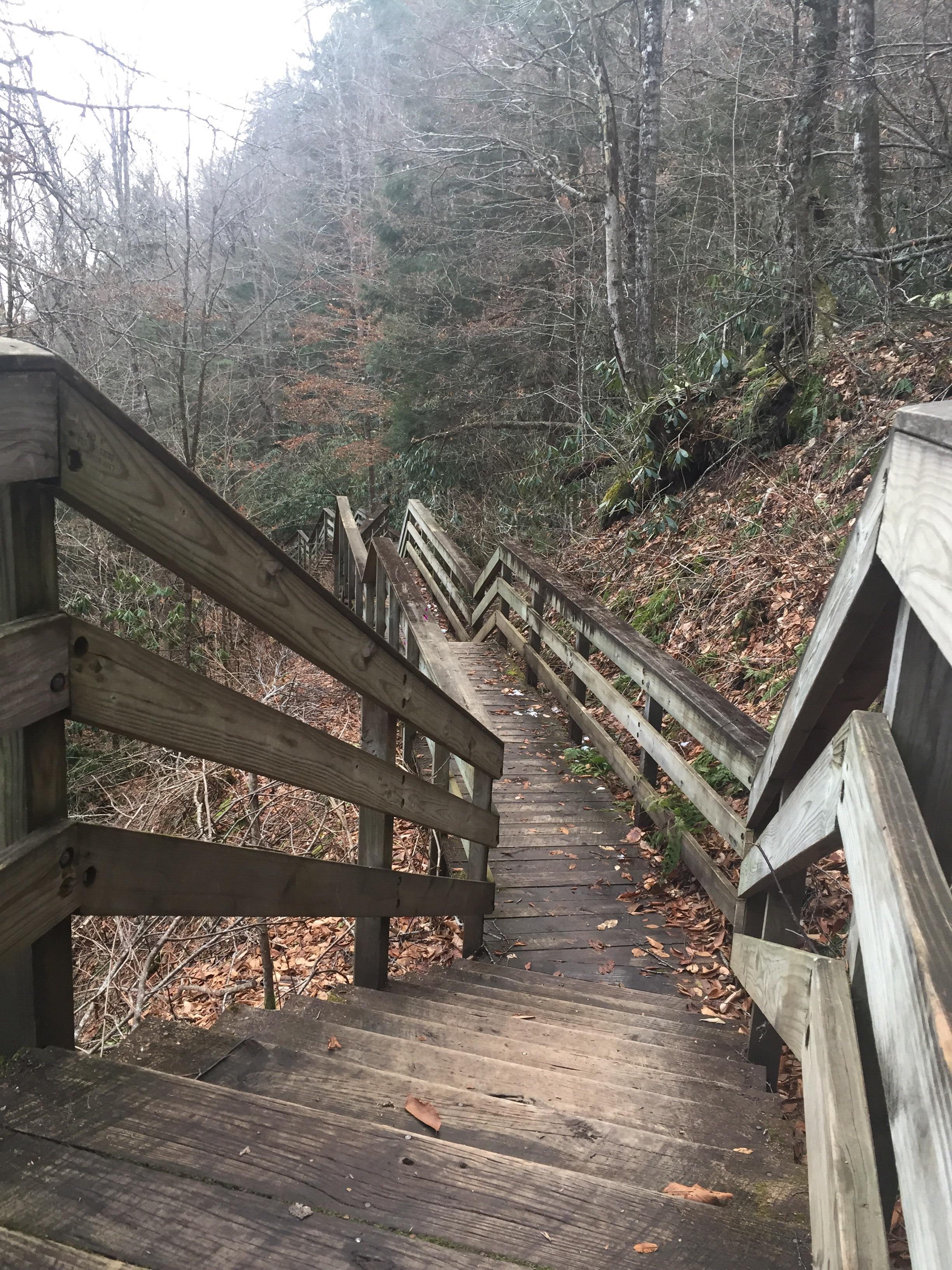 Monongahela National Forest, WV, USA r/hiking
