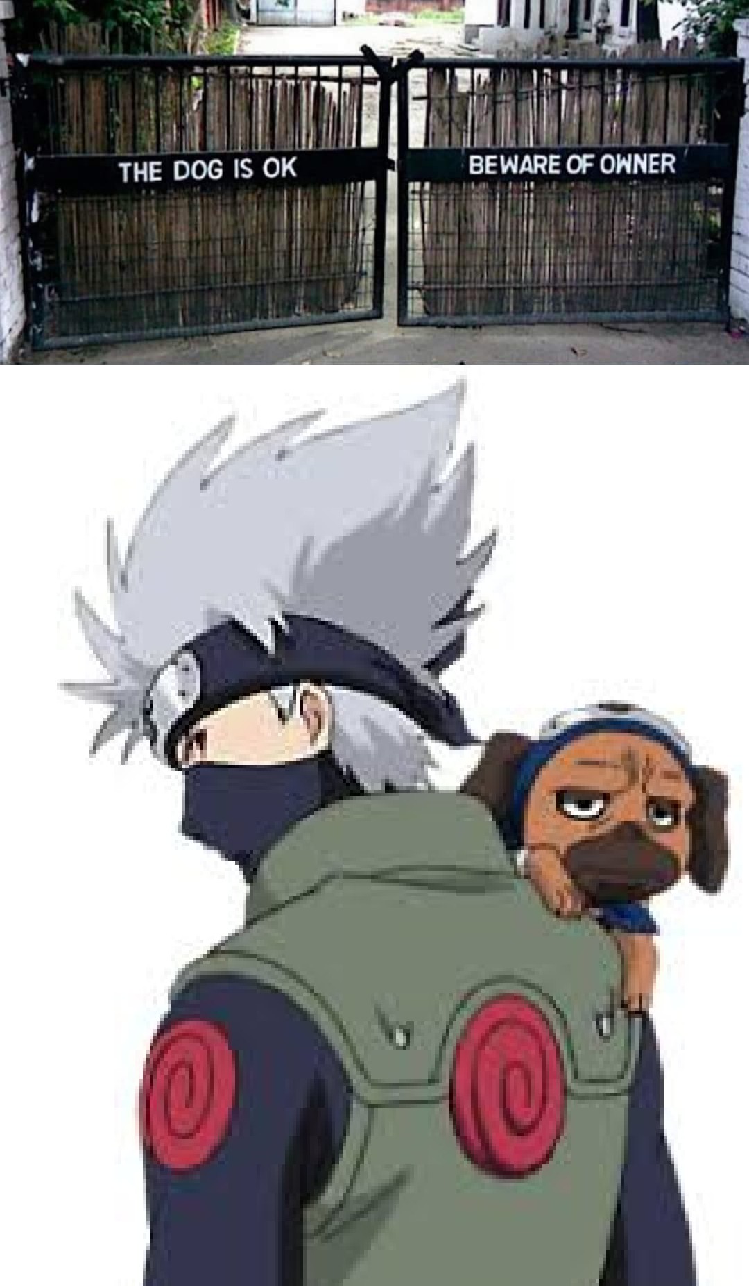 Will not hesitate to kill his best friend. dankruto