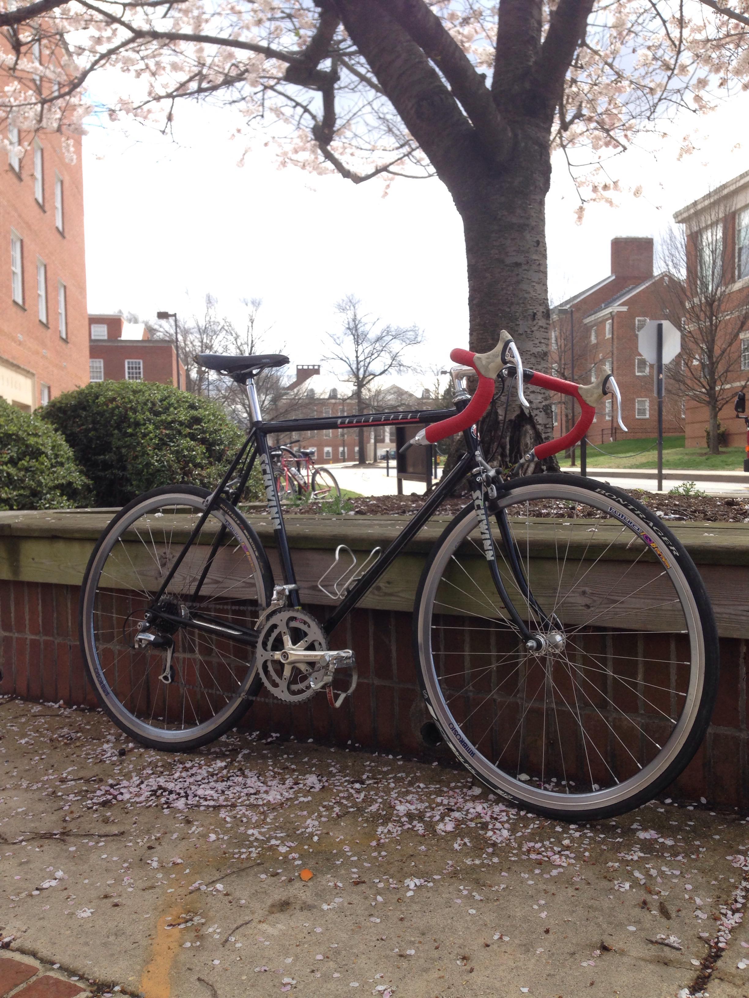 Who says old budget road bikes can't be pretty? 1989 Schwinn World