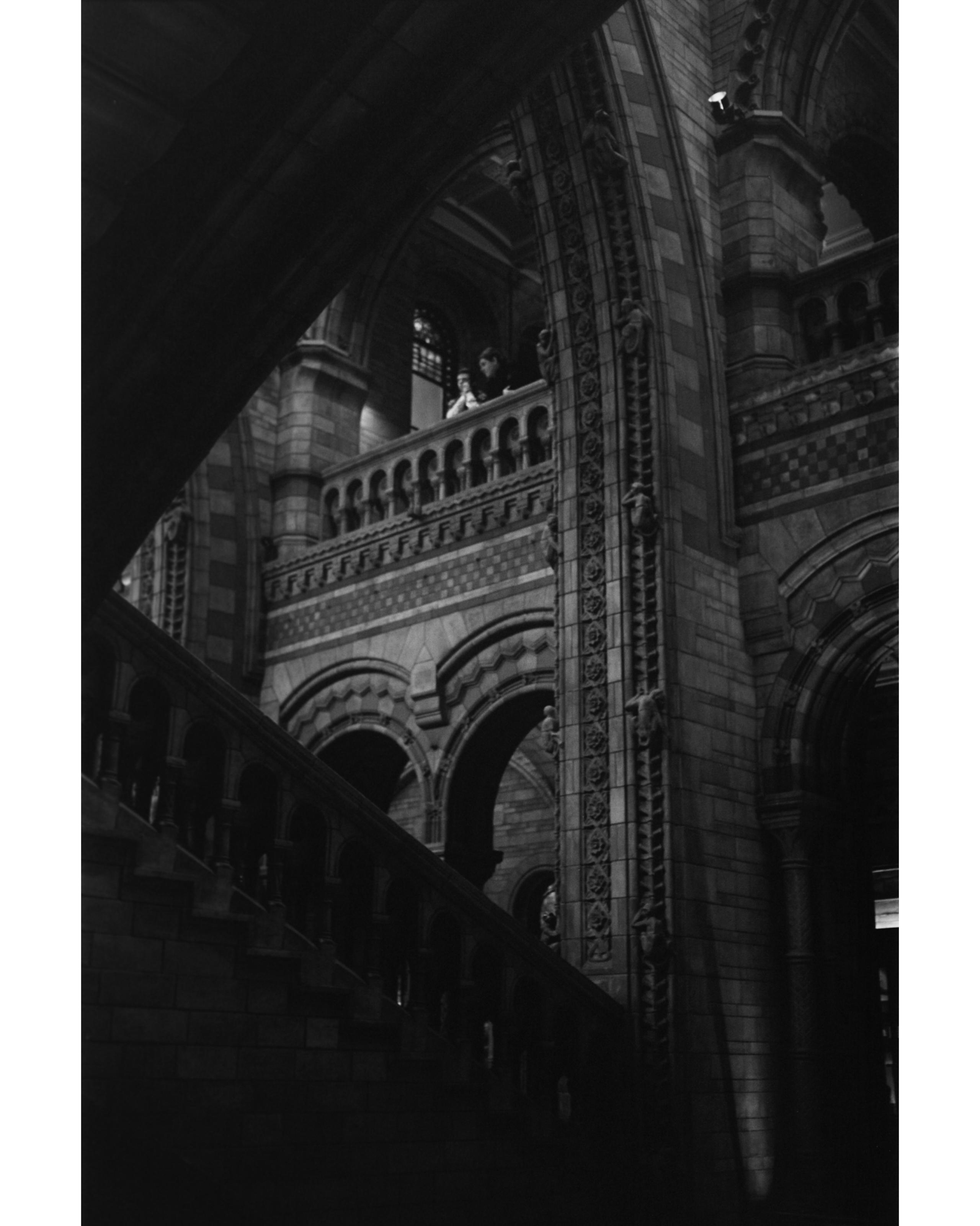 Natural History Museum, London Nikon F3HP, Voigtlander 40mm F2
