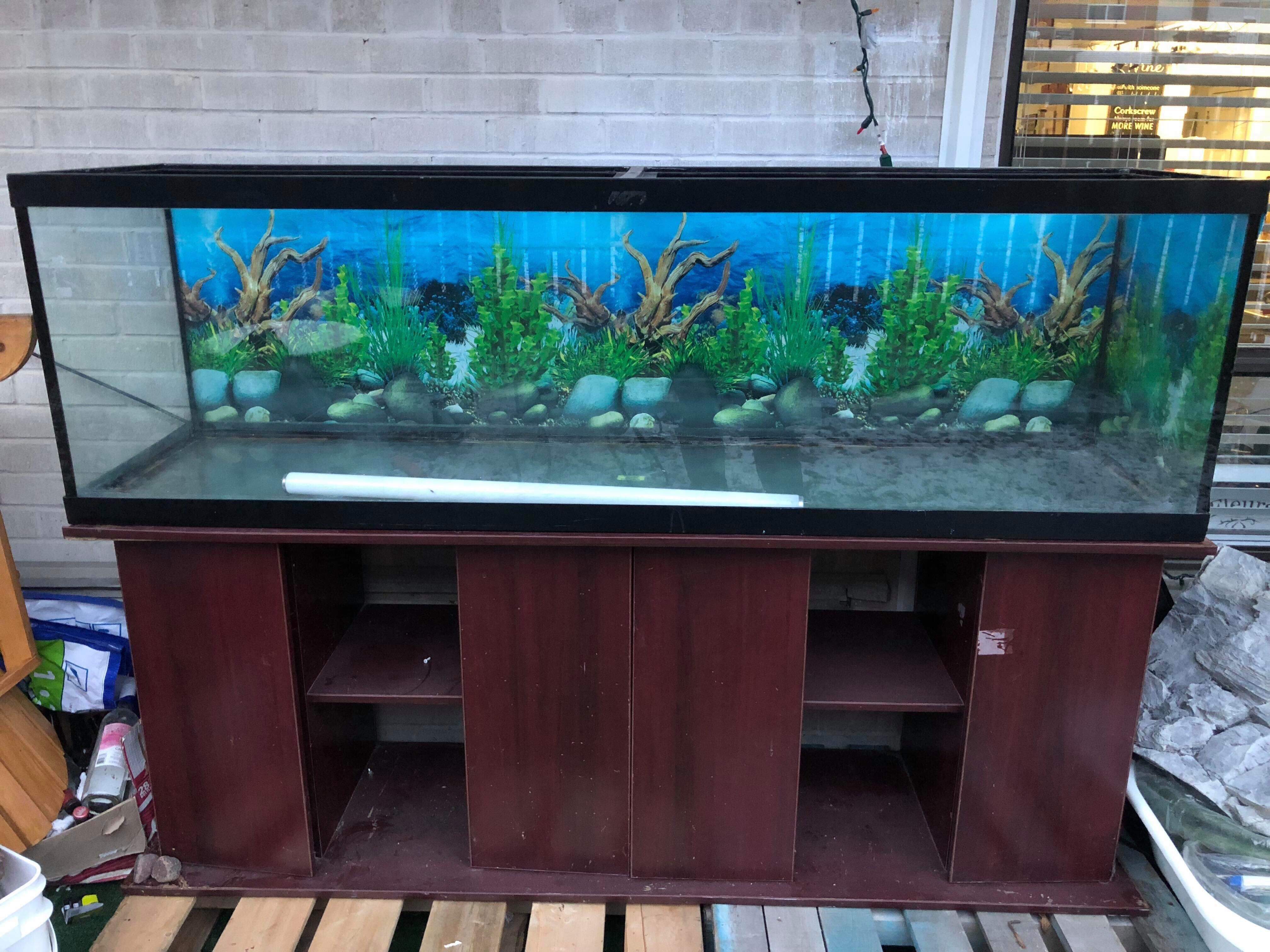 Does anyone recognize this tank and know the make of it? It's tempered