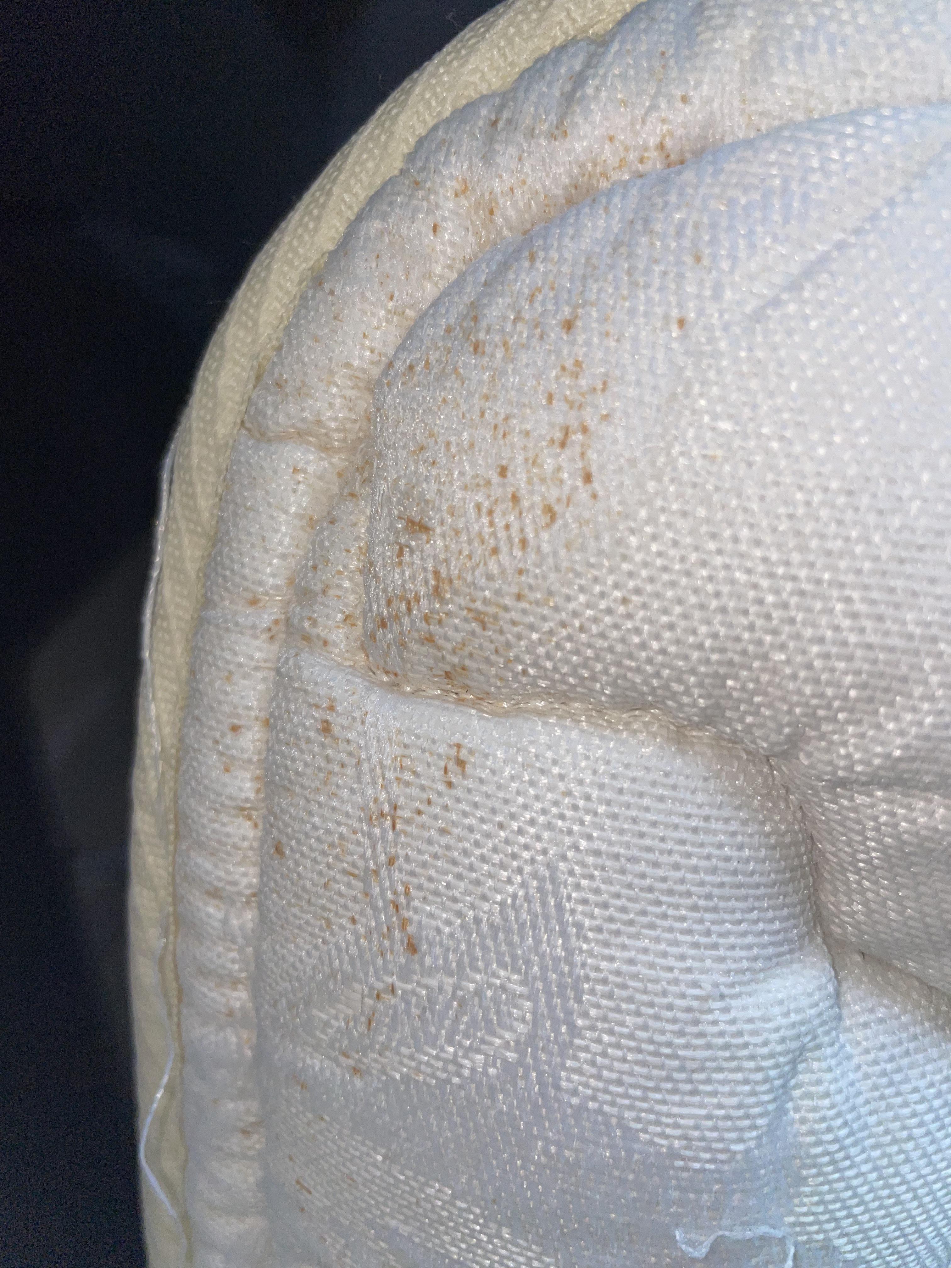 Should I be concerned with this hotel mattress? r/Bedbugs
