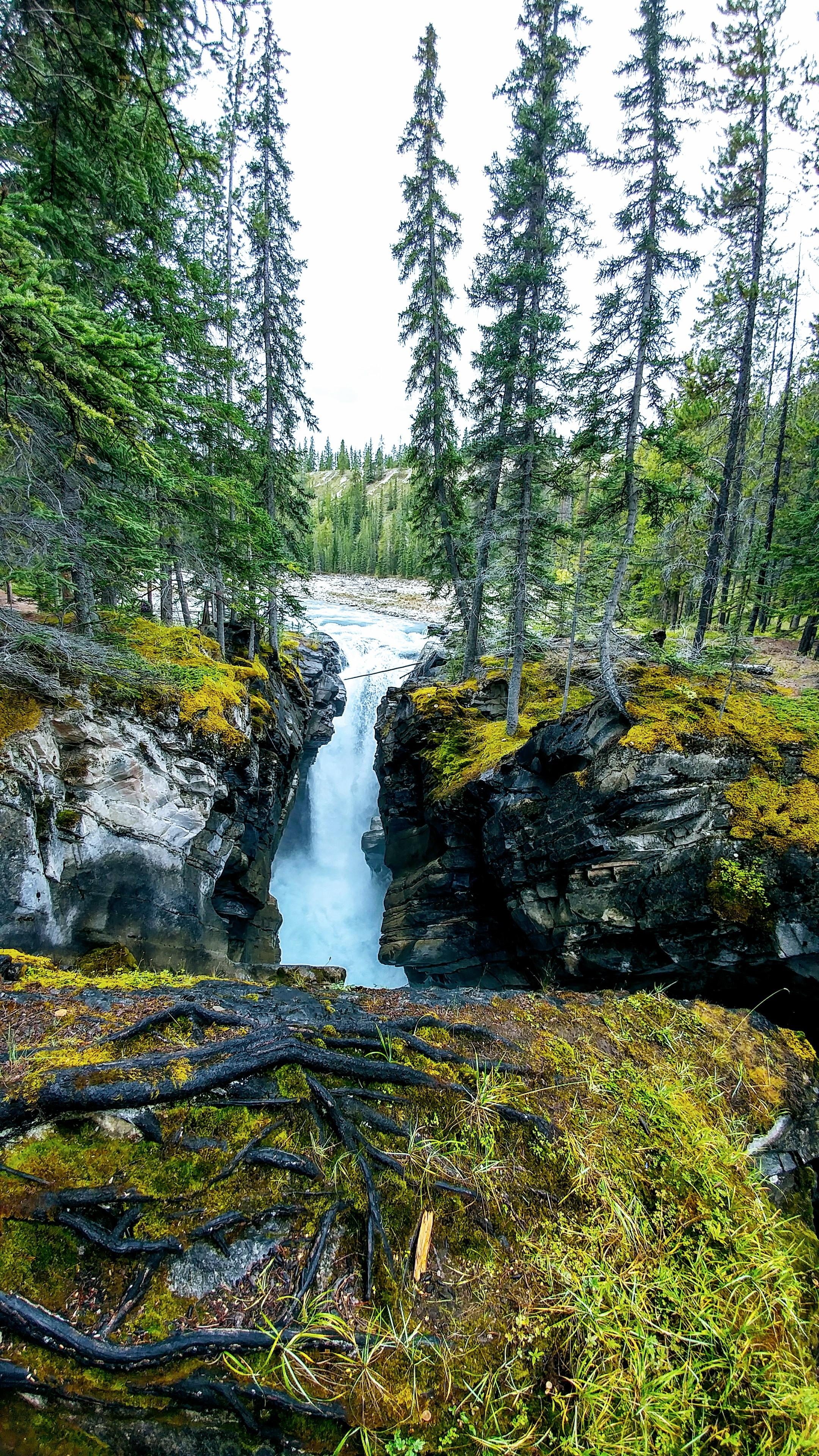 Back country camping in bc, what a hike r/camping