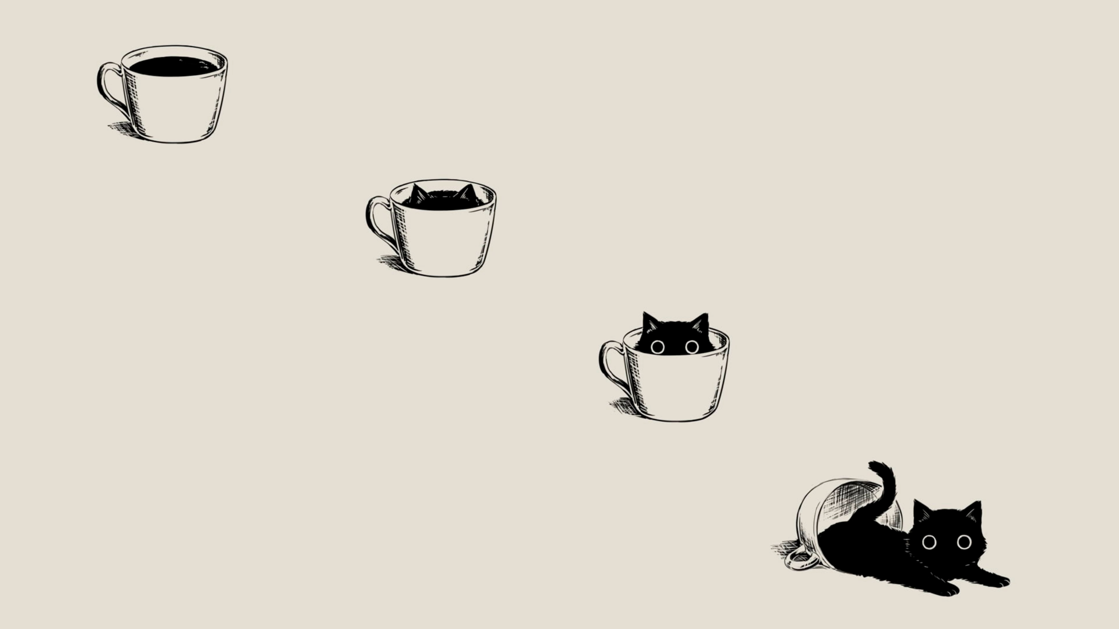 Coffee cat [3840 x 2160] r/MinimalWallpaper