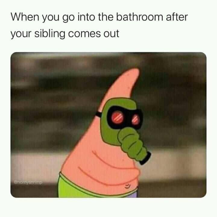 The reason why I hold my pee sometimes... r/memes