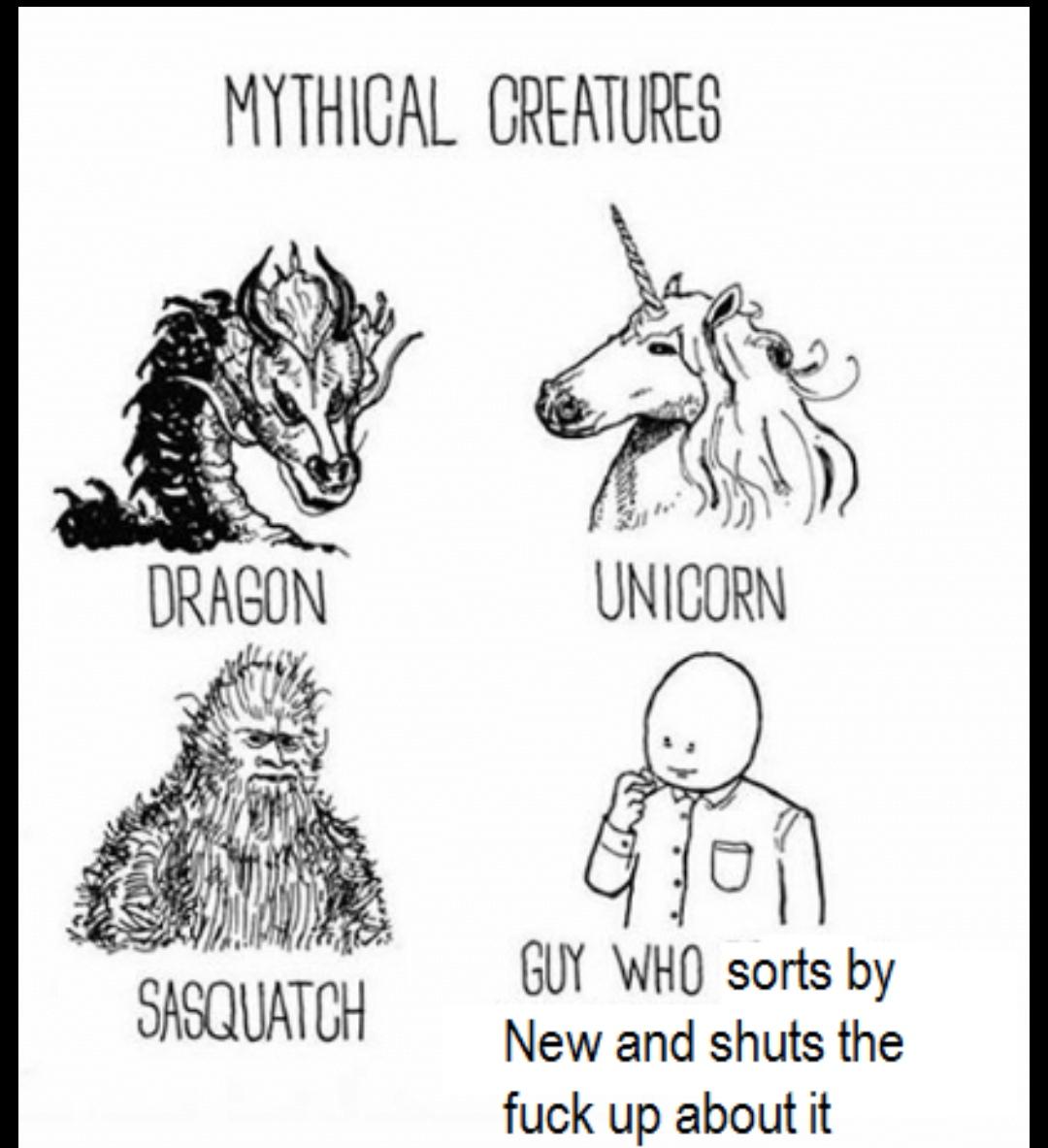 Never before seen r/memes