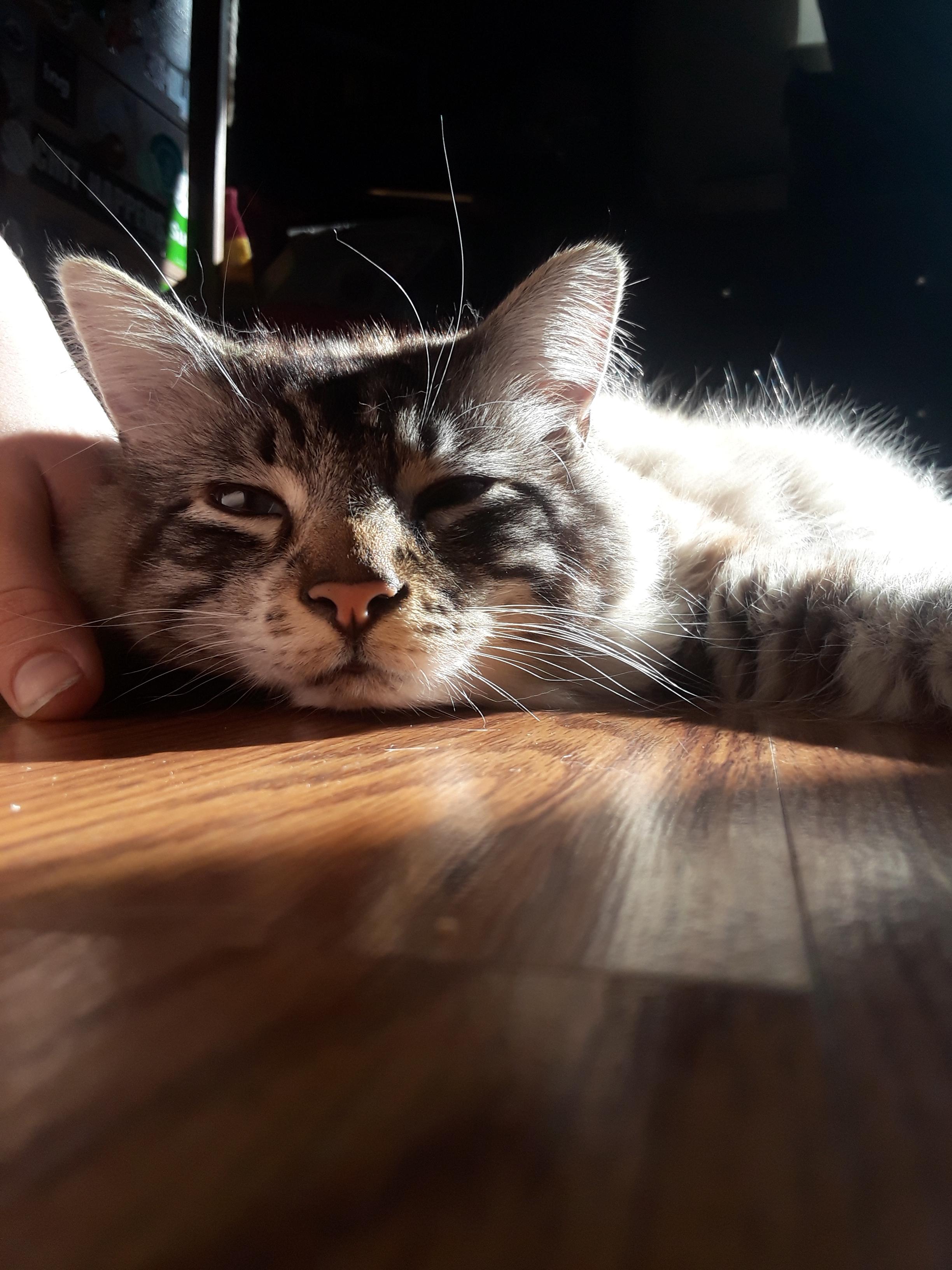 The amount of love in his eyes when he stares at me all day, is