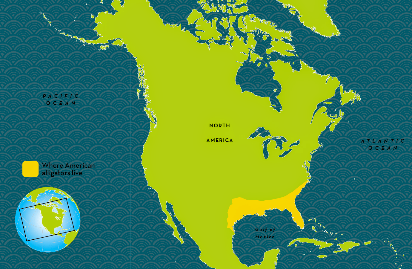 Alligators In China Map "WHERE AMERICAN ALLIGATORS LIVE" (2018) /// National Geographic Map of