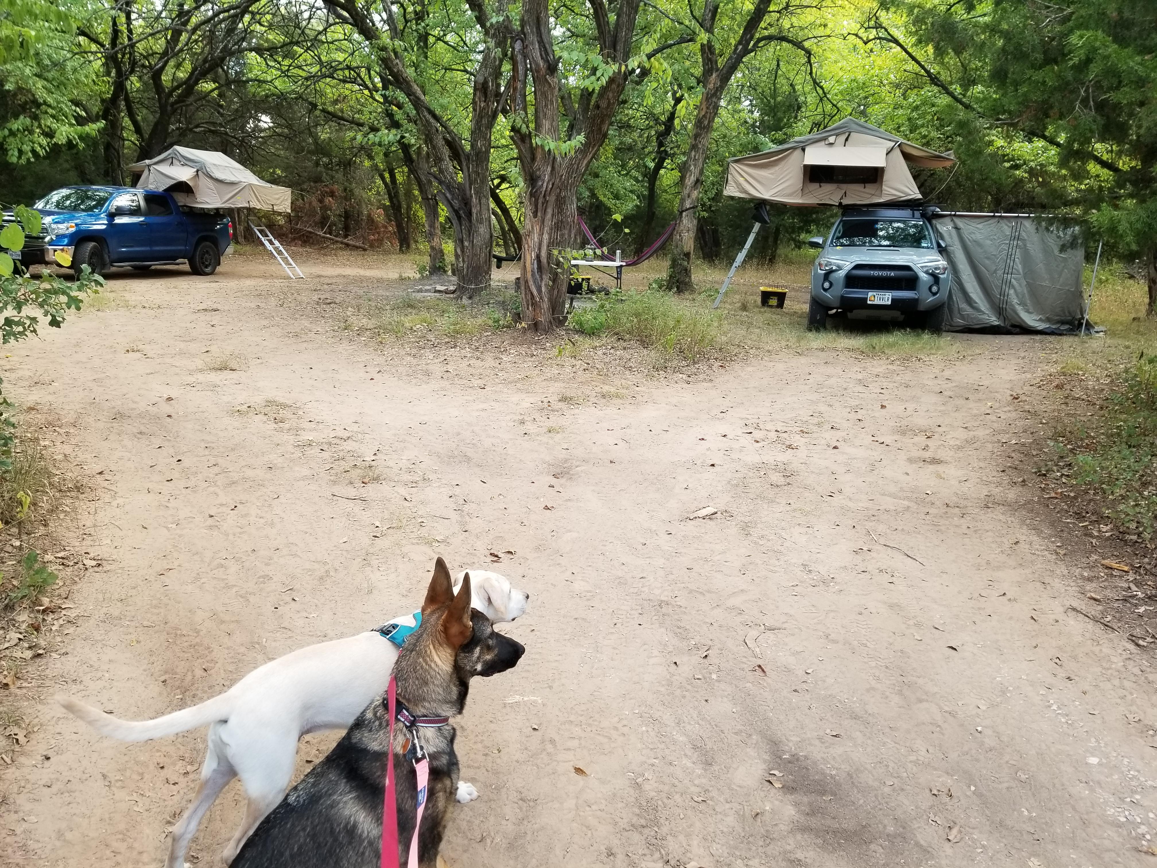 Camping in Texas at LBJ National Grasslands. r/4Runner