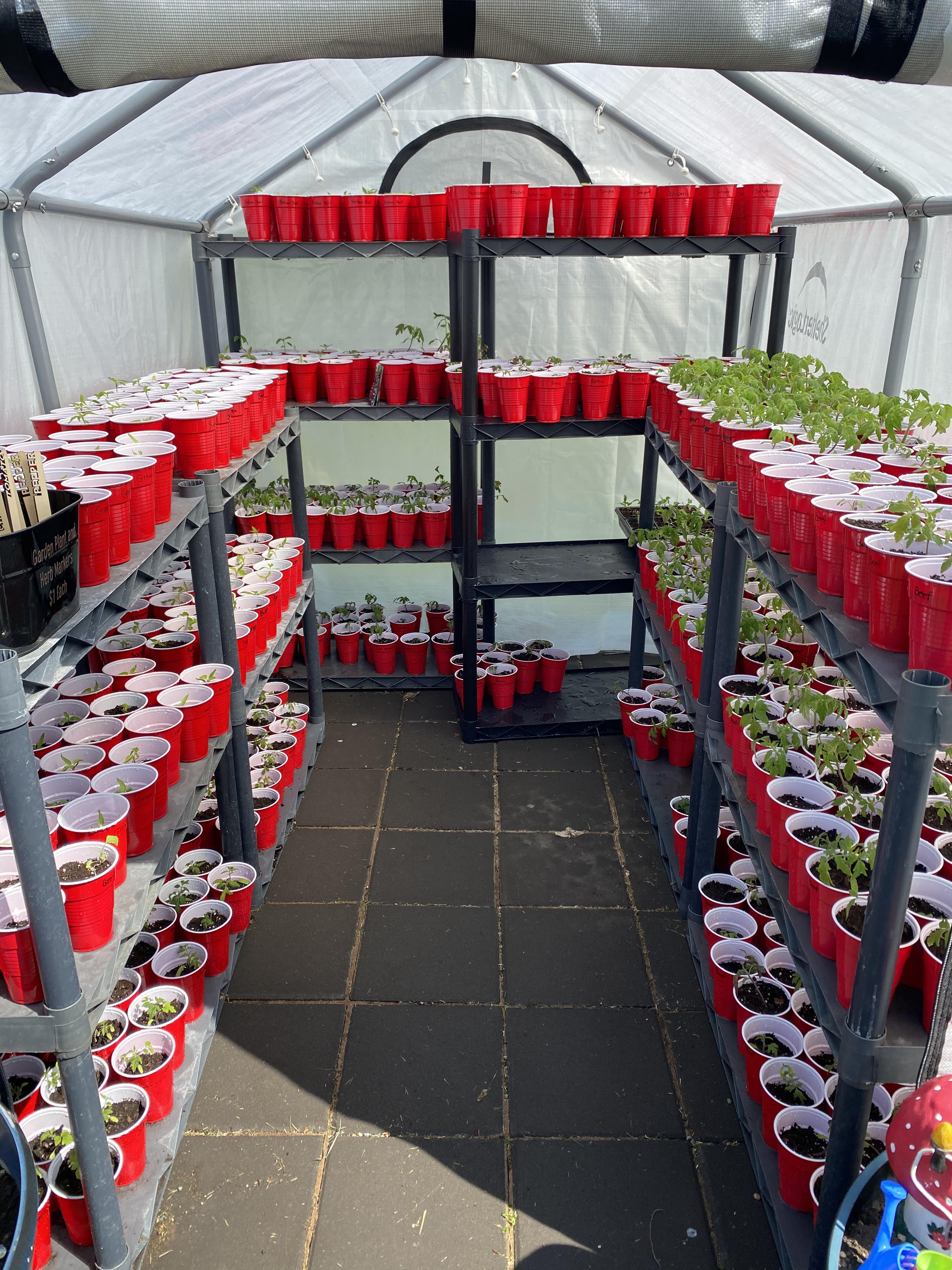 Zone 4 Greenhouses r/Greenhouses