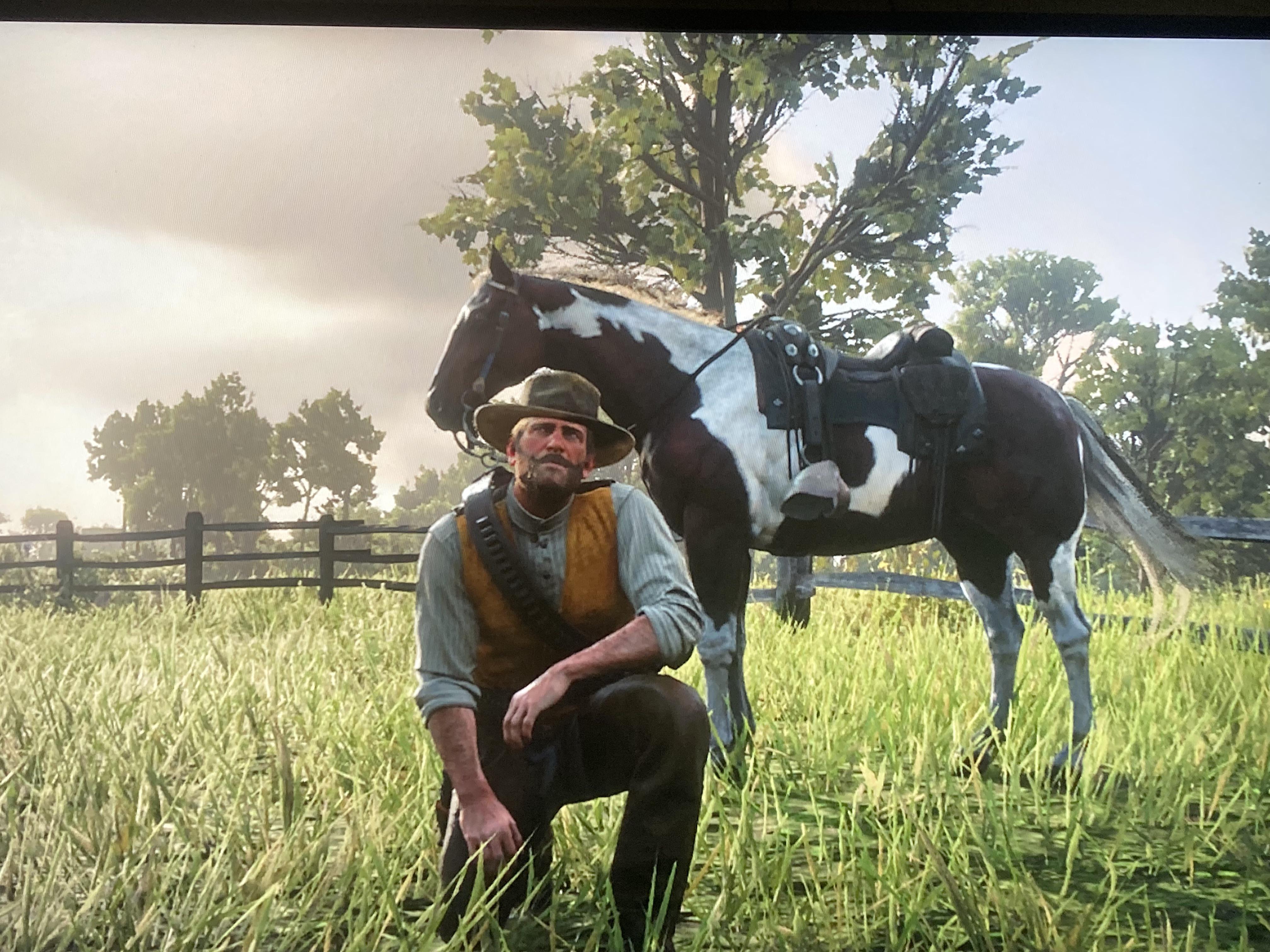 Howdy! This is my Arthur and my American Paint named Geronimo. Anyone