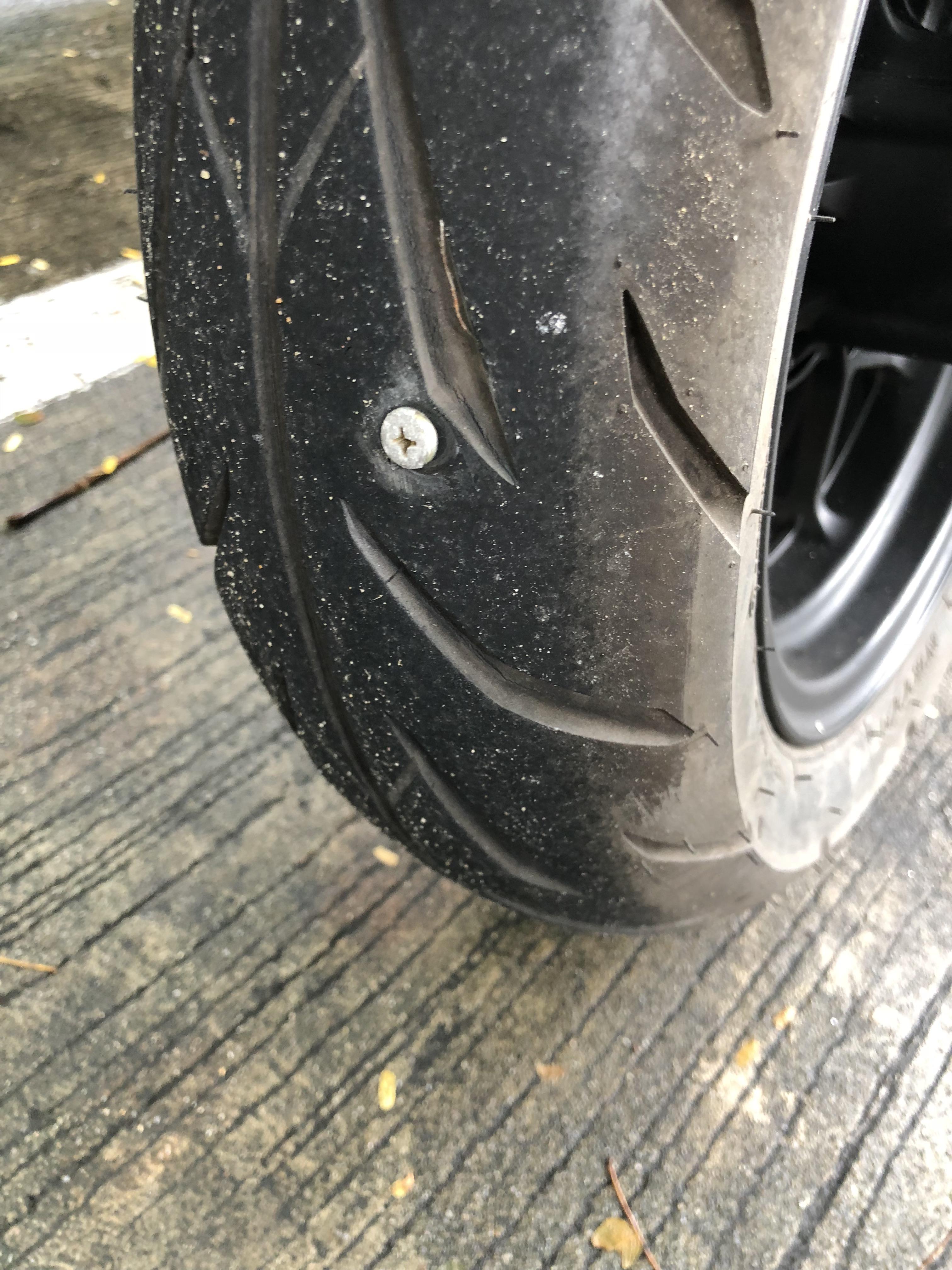 First day out on new Grom. Taught myself how to drive manual. Put on