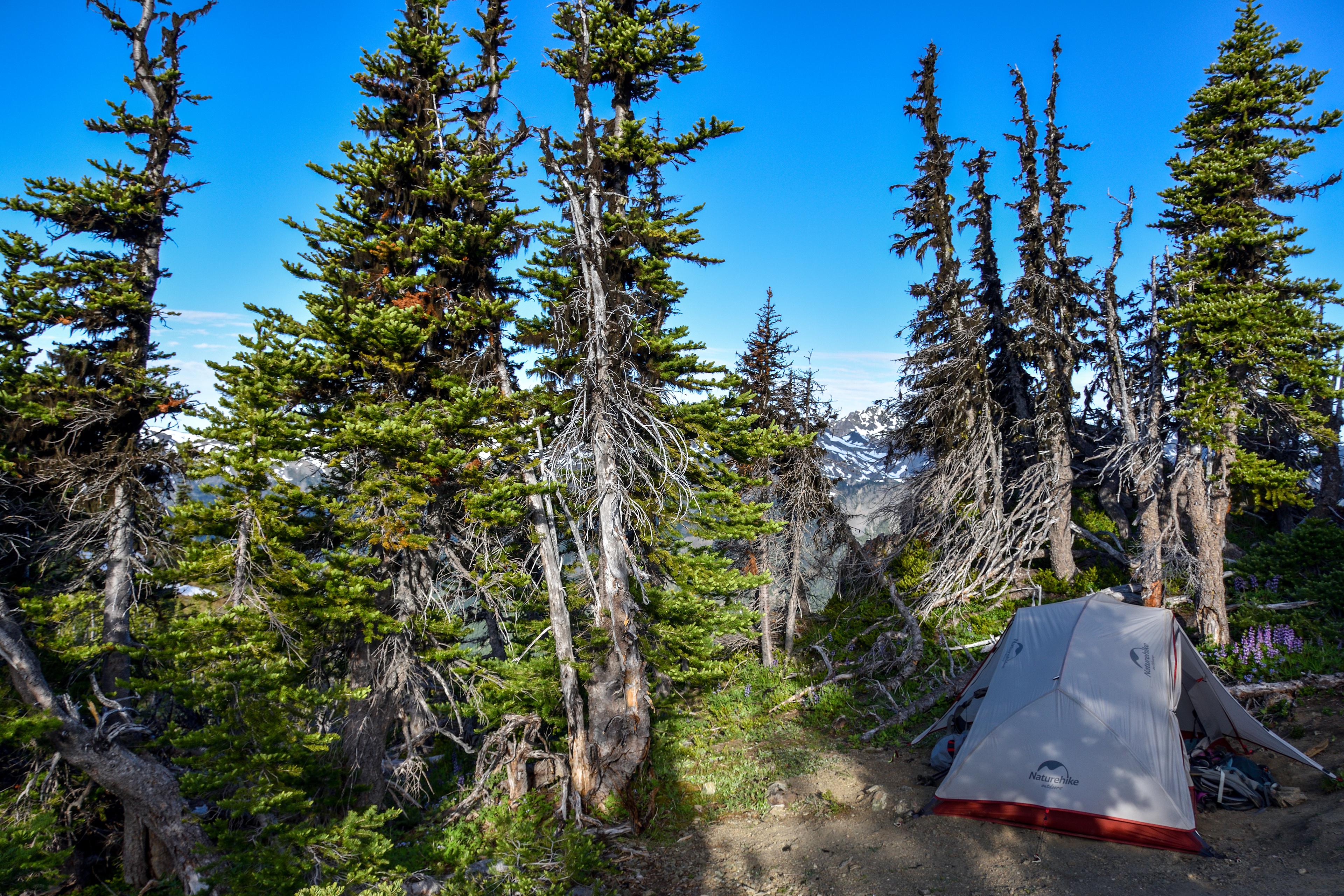 235 best Olympic Mountains images on Pholder | Earth Porn, Seattle and