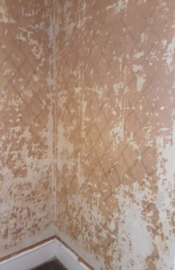 Best wallpaper remover for old, crumbling paper on plaster? r
