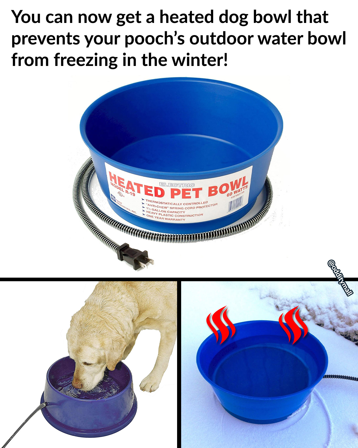 Heated Outdoor Dog Bowl r/DidntKnowIWantedThat