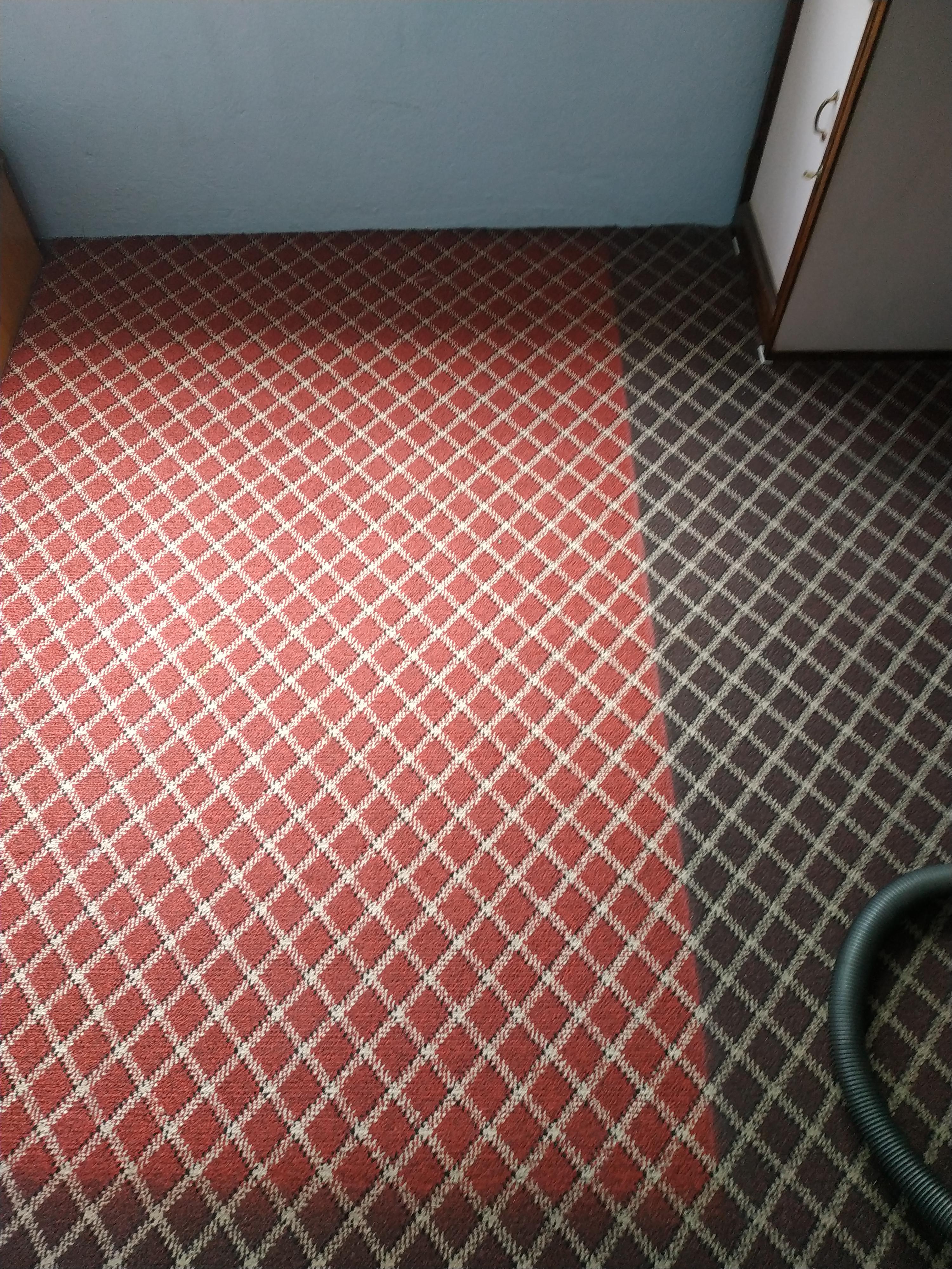 Where my rug has been r/mildlyinteresting