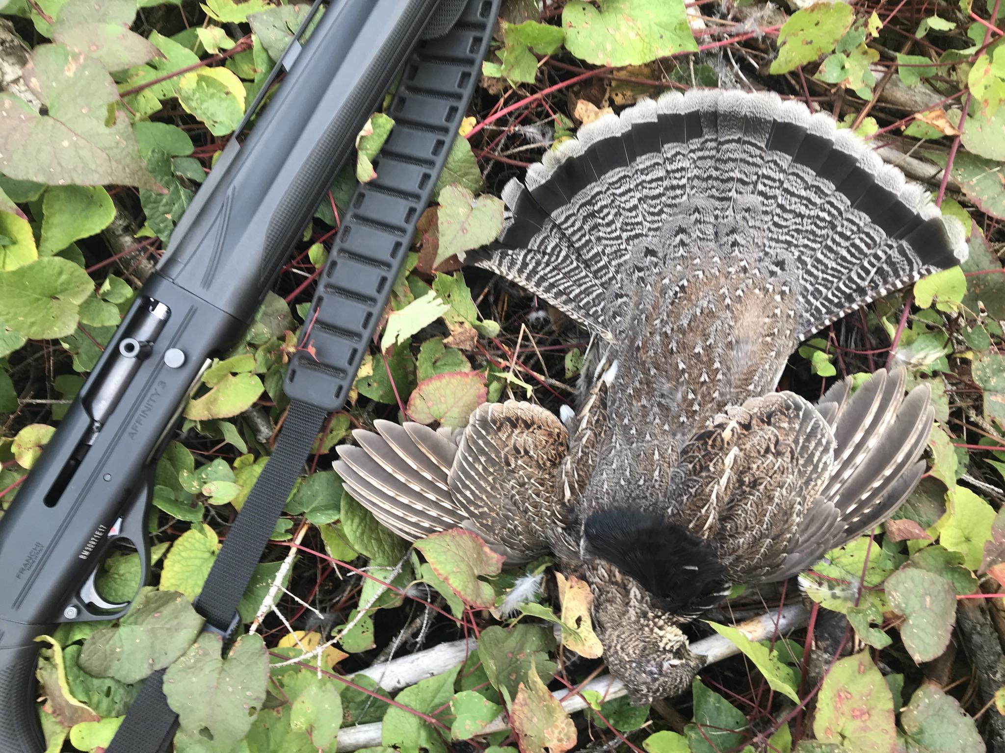 My favourite game bird r/Hunting