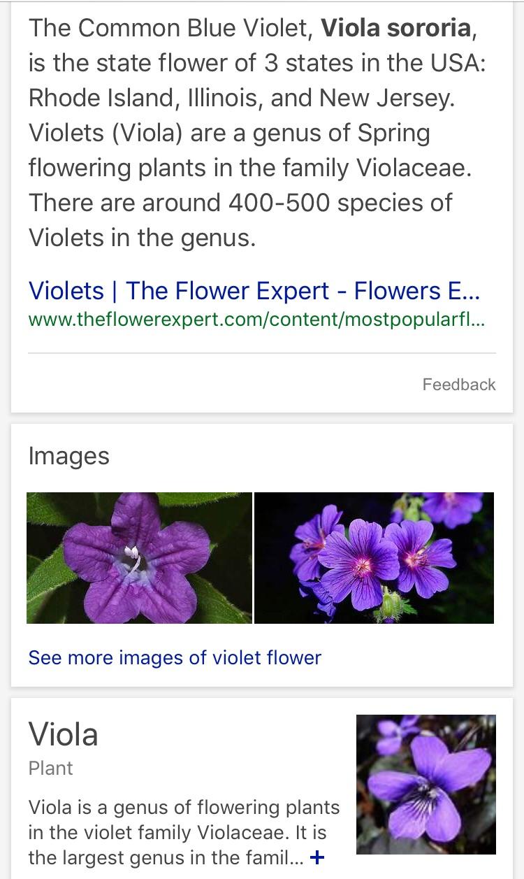 Roses are red, that much is true but violets are purple not fucking blue. r/boottoobig