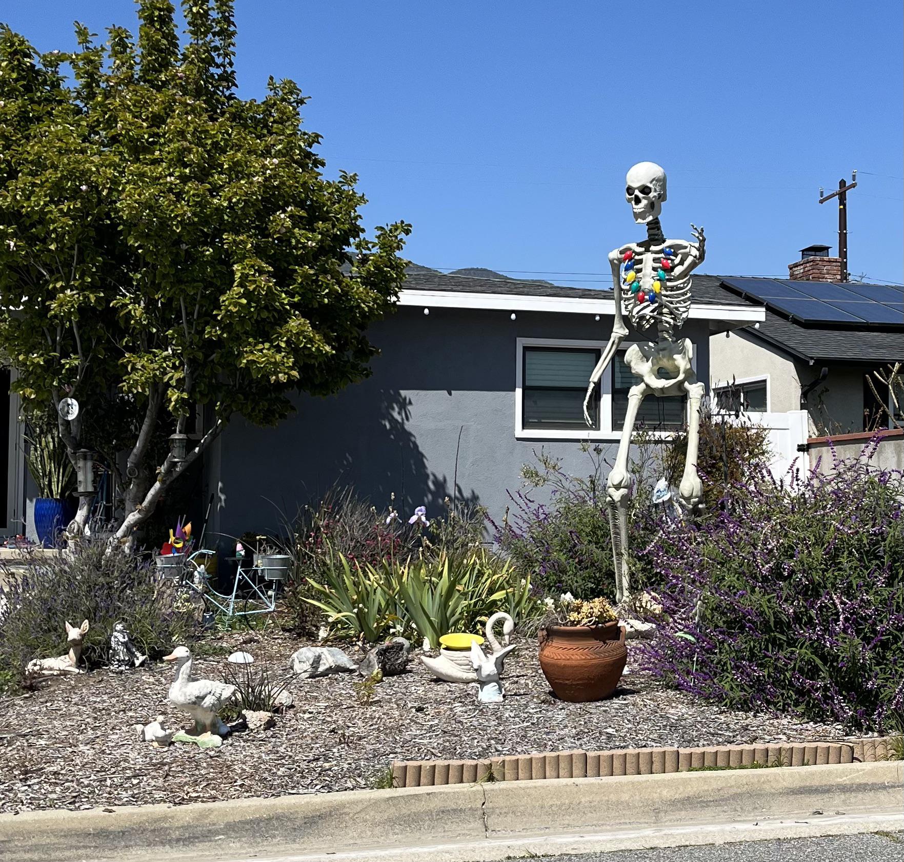 I salute you for keeping Glendora interesting, yard skeleton house r