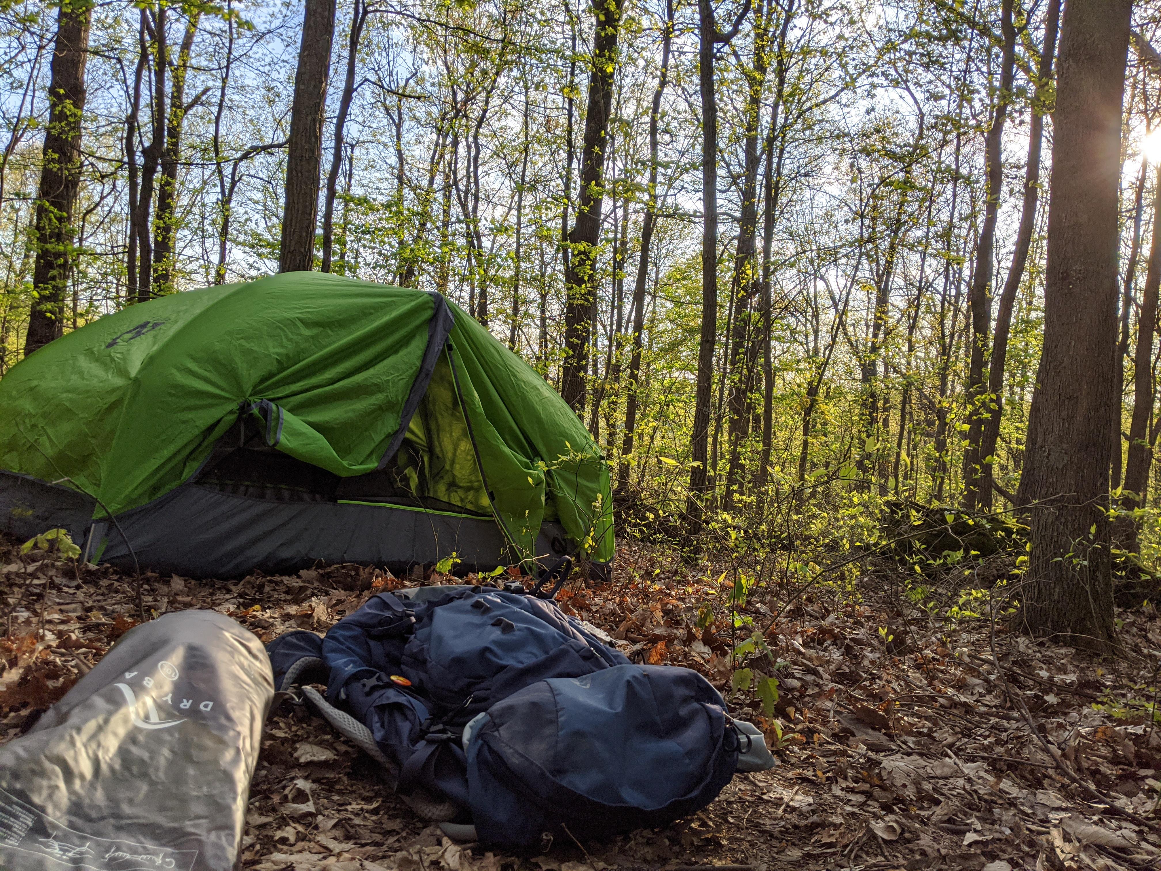 First five miles of the sheltowee trace. Great beginning to the