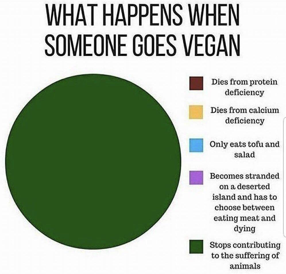 A chart to answer most people’s questions. r/vegan