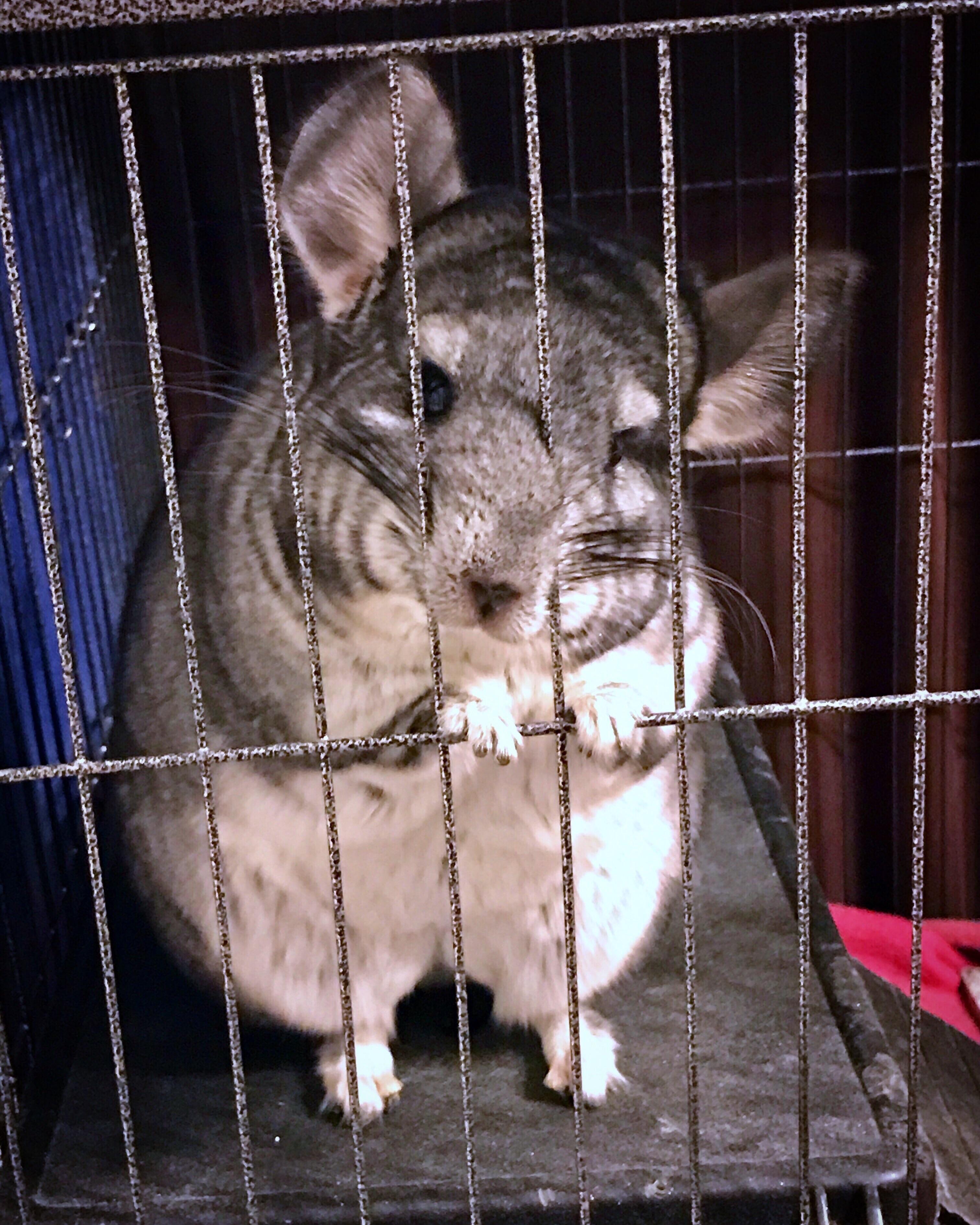 Hello. Do you have time to talk about the advantages of giving