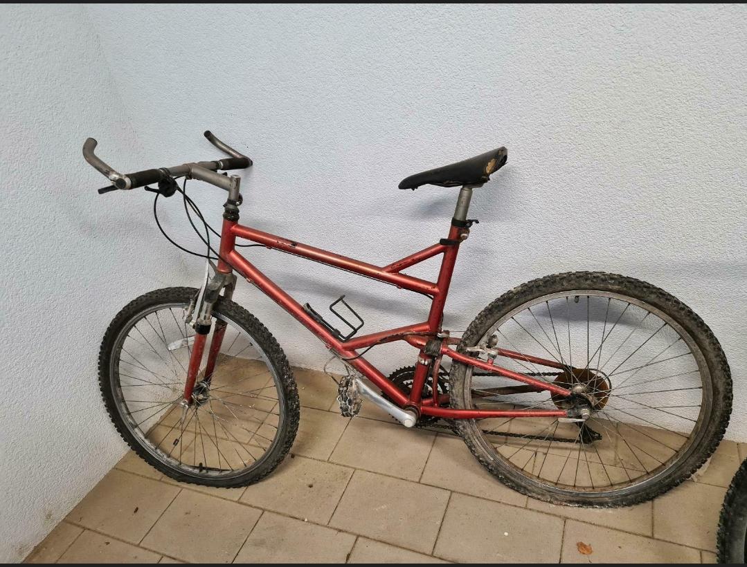 Does anyone know this bike? Or is it just a cheap discounter bike? Only