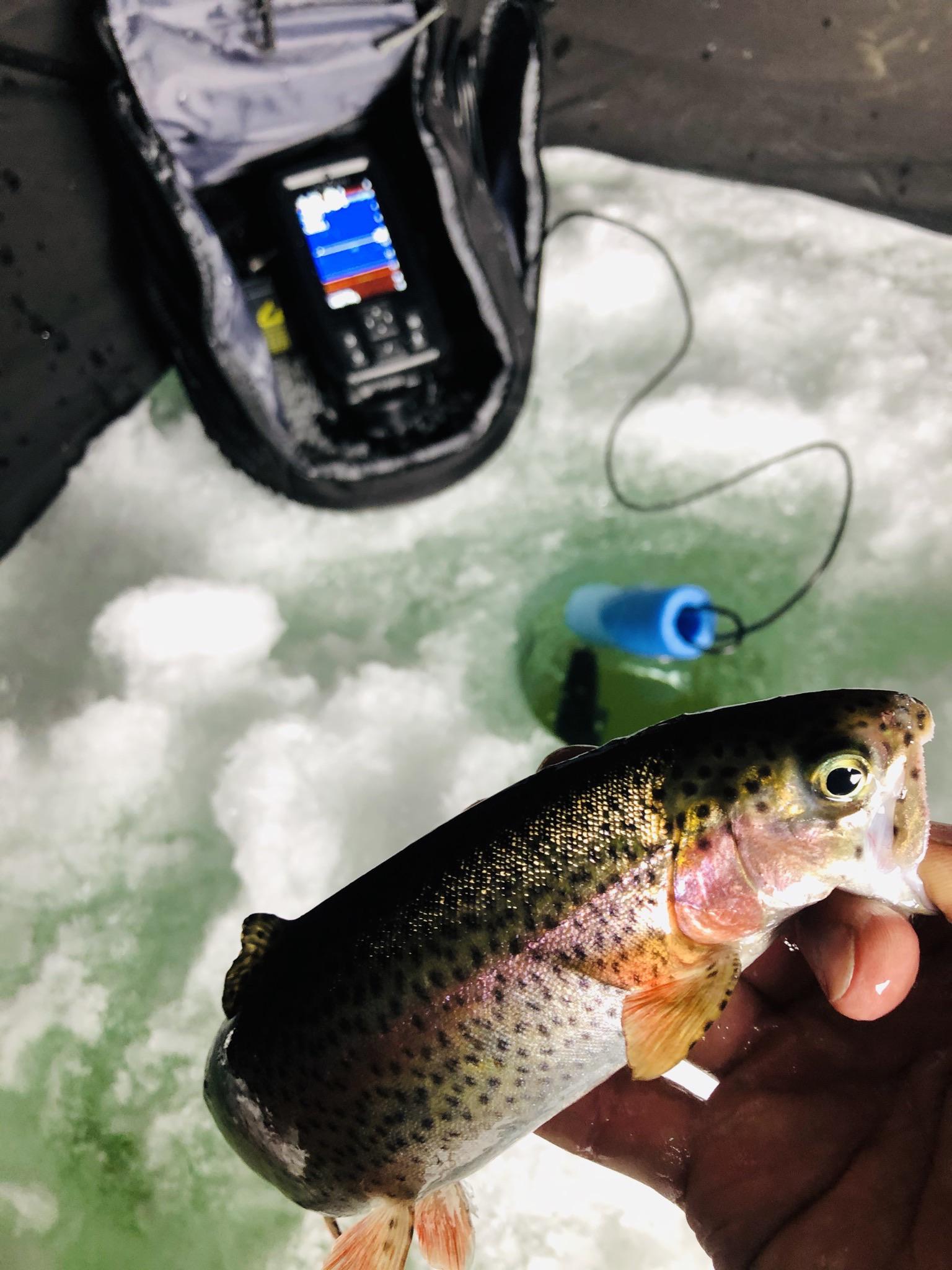 Ice fishing trout in Southern Wyoming r/IceFishing
