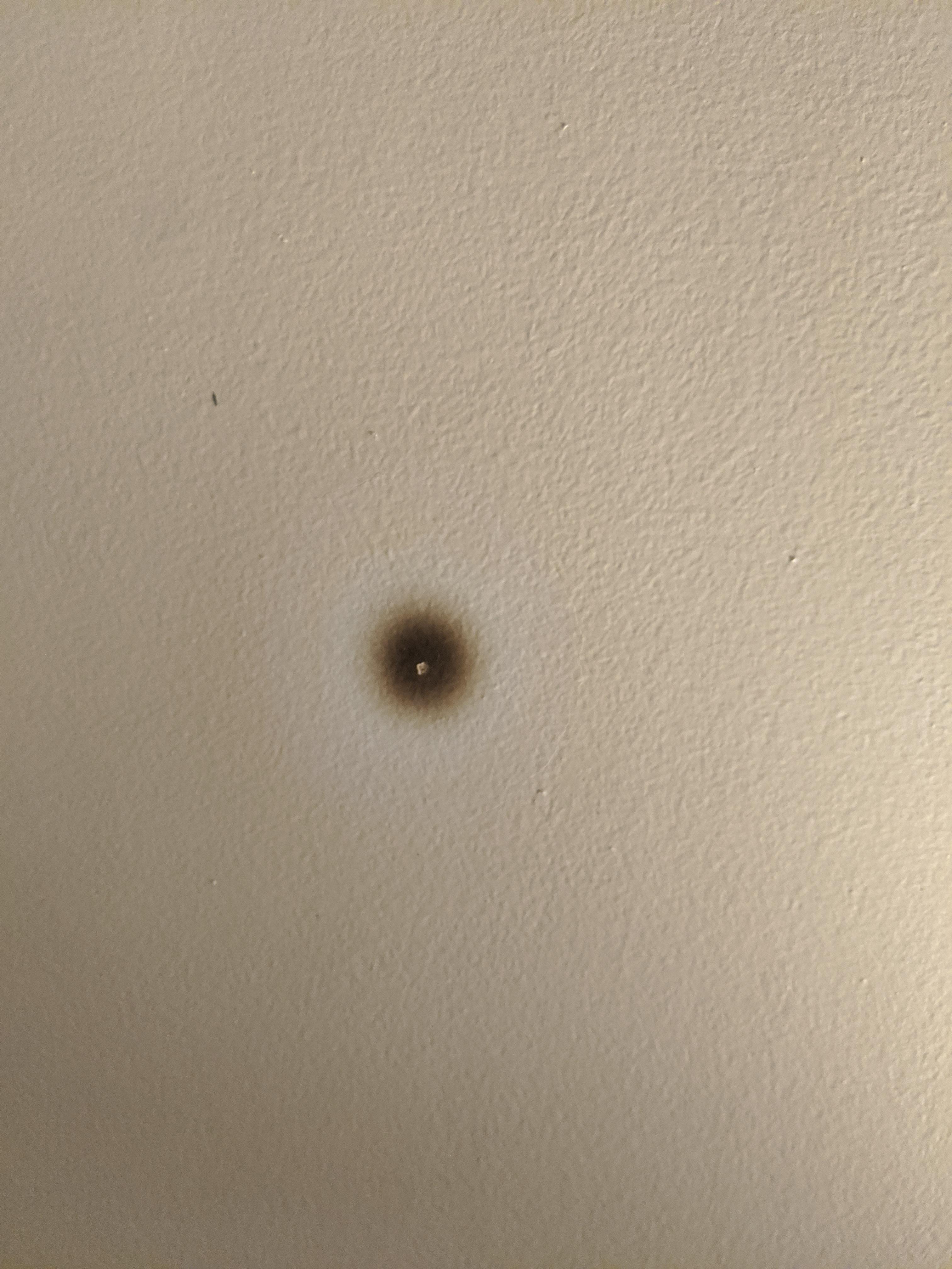 Unexplained "burn" on wall. (Inside studs, behind picture frame, and