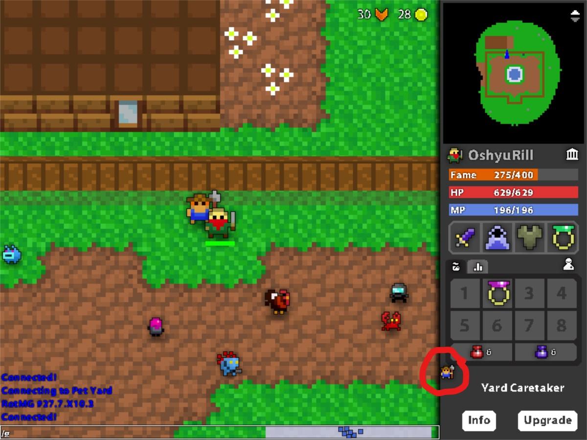 Why So Small, Yard Caretaker? r/RotMG