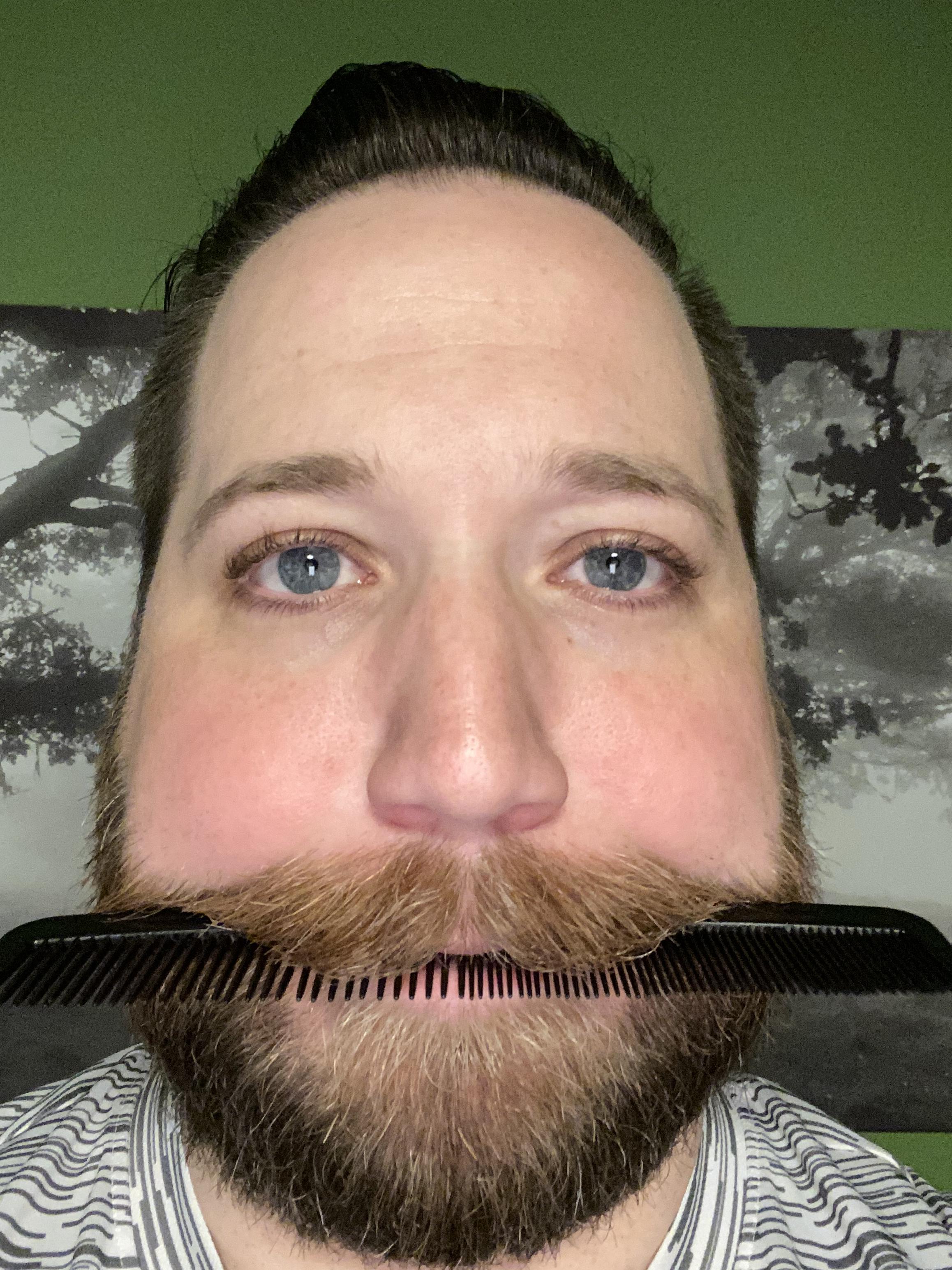 What you some mustache grooming tricks? I bite a comb. r/Moustache