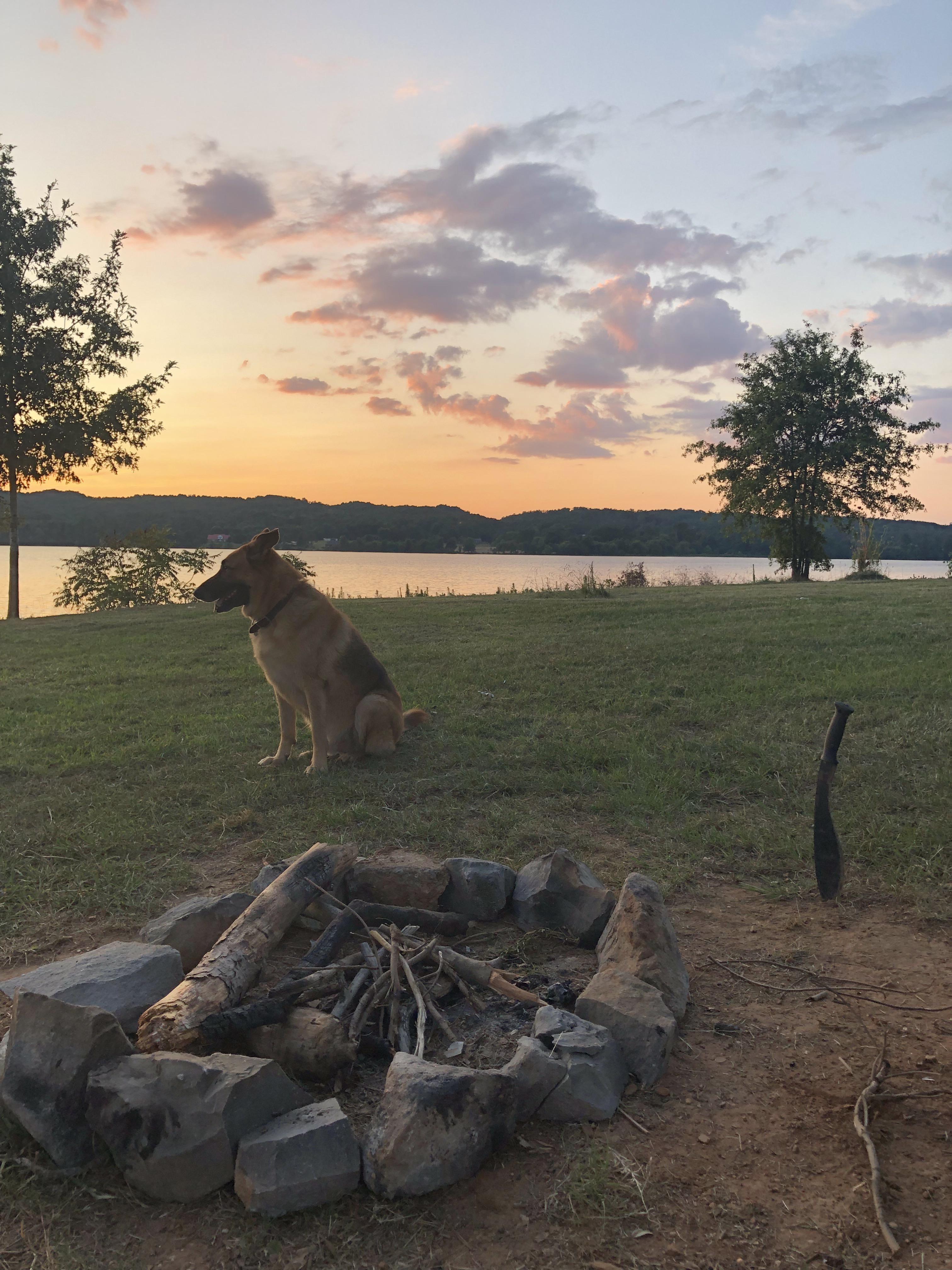 Perfect weather at Lake Guntersville State Park. r/camping