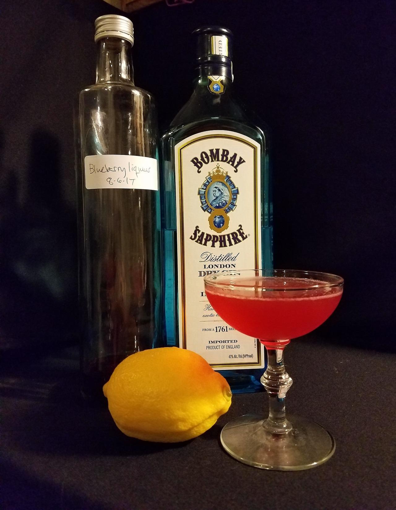 The Acadia. Dry gin, lemon juice, and homemade blueberry liqueur r