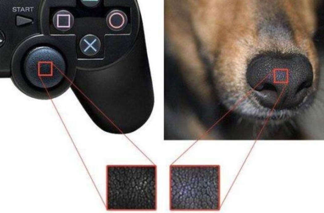Every year 10.000 doggos are killed to make playstation